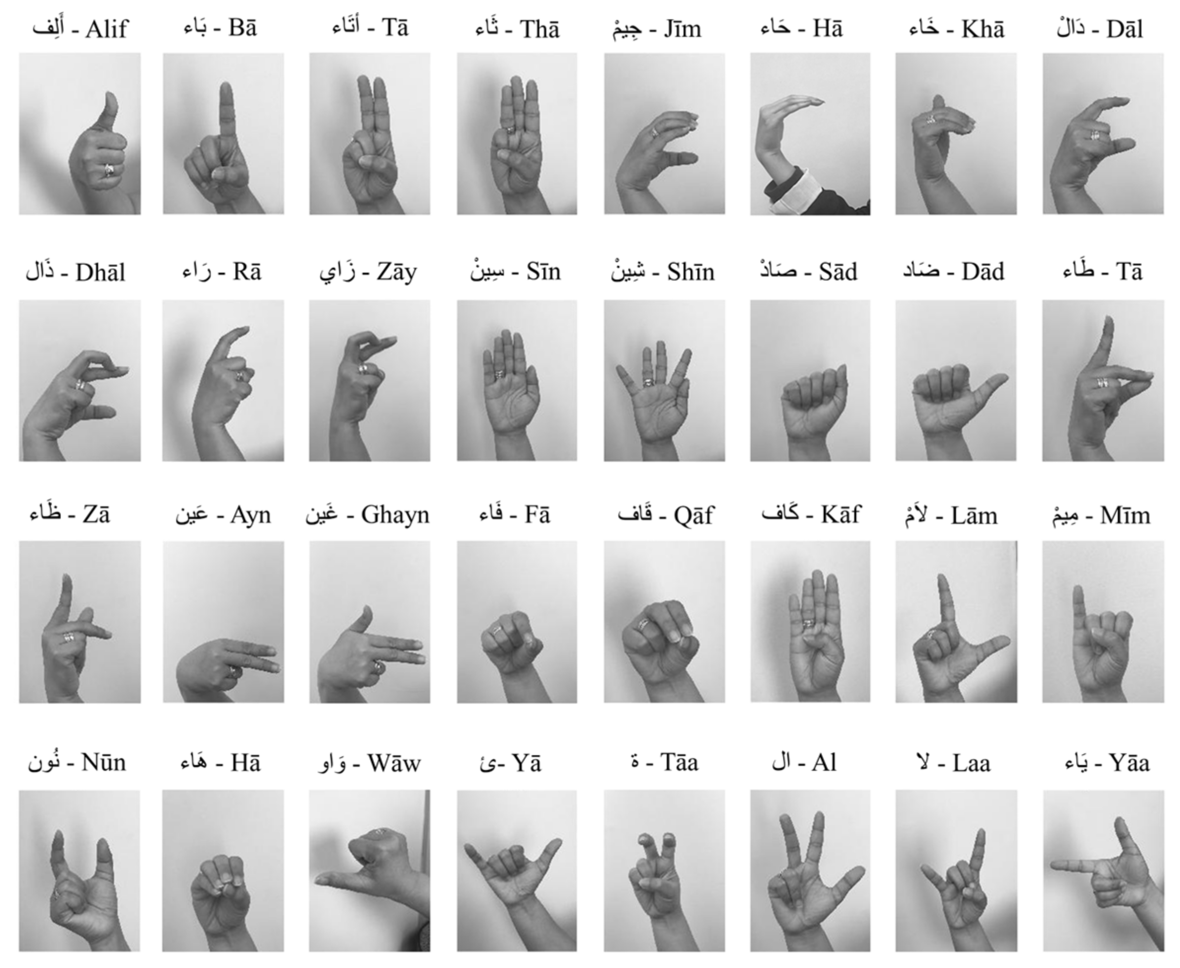 Sensors 24 07798 g010 Sensors 24 07798 g010