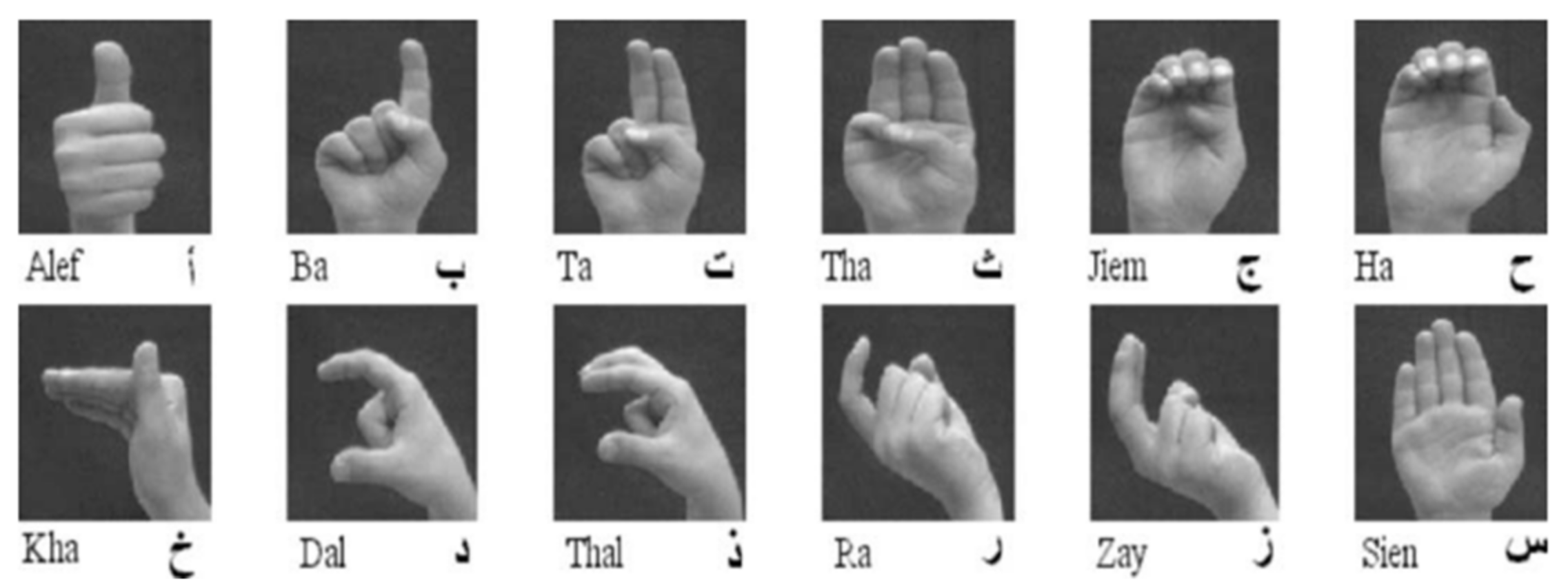 Sensors 24 07798 g011 Sensors 24 07798 g011