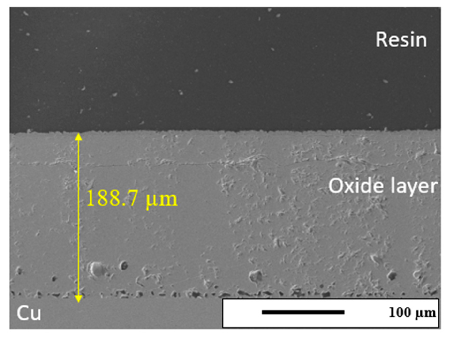 Sensors 24 07806 g004