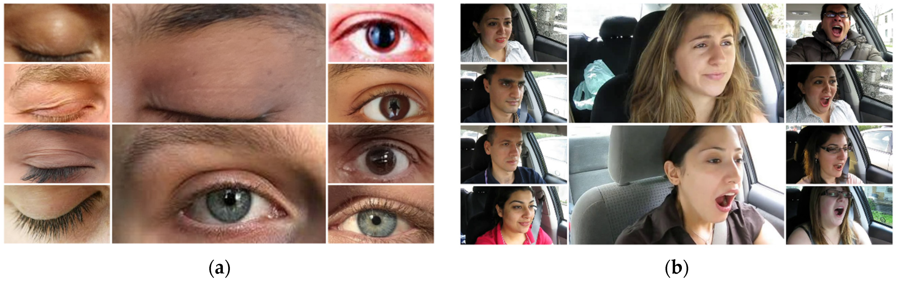 Sensors 24 07810 g003