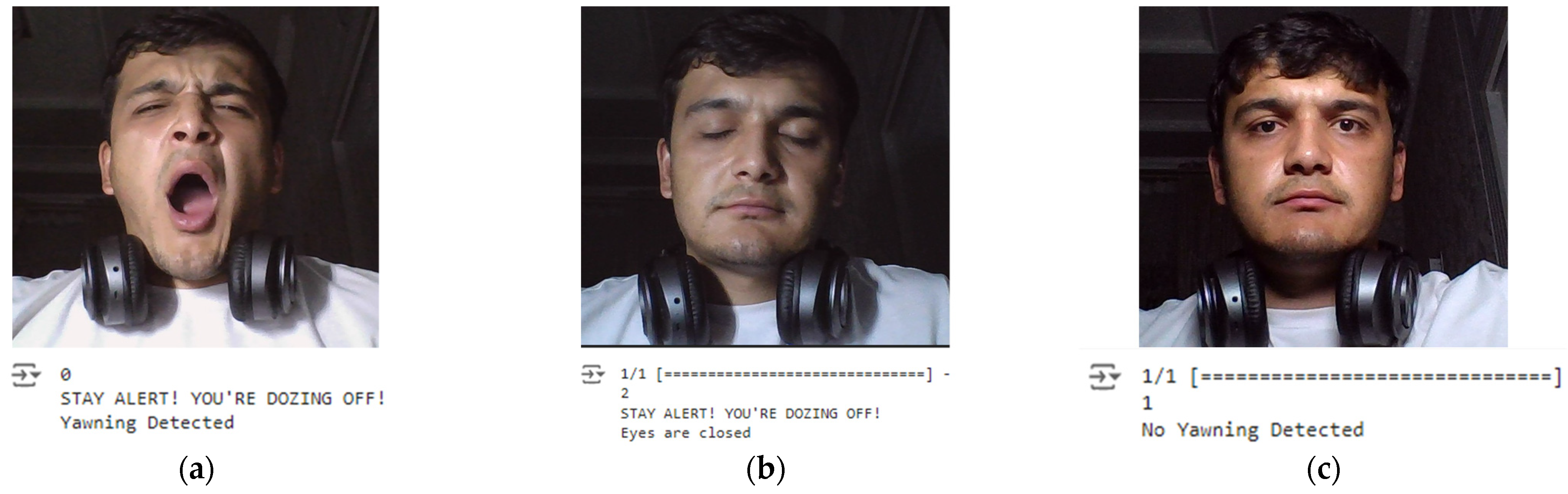 Sensors 24 07810 g008