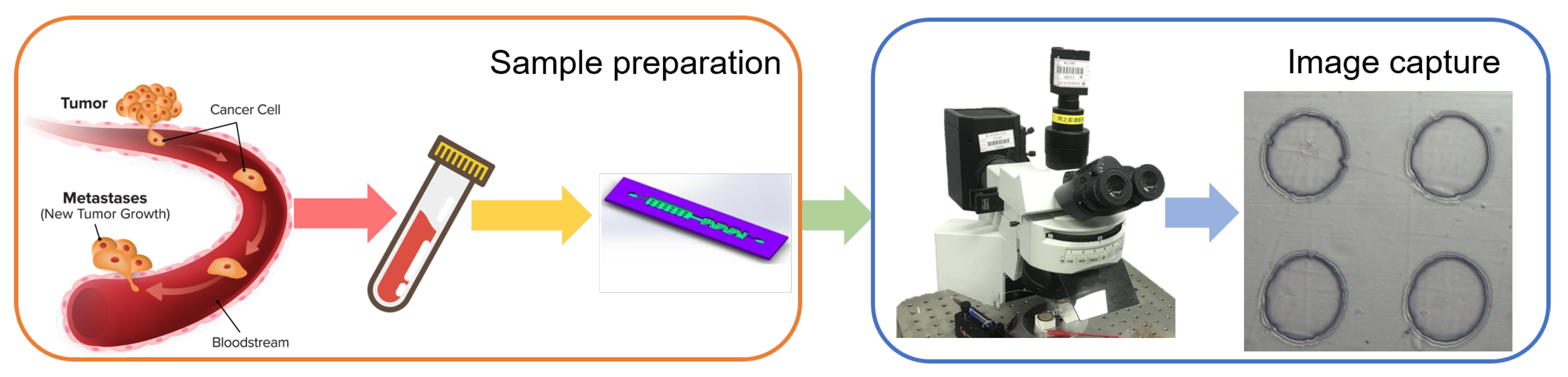 Sensors 24 07822 g001