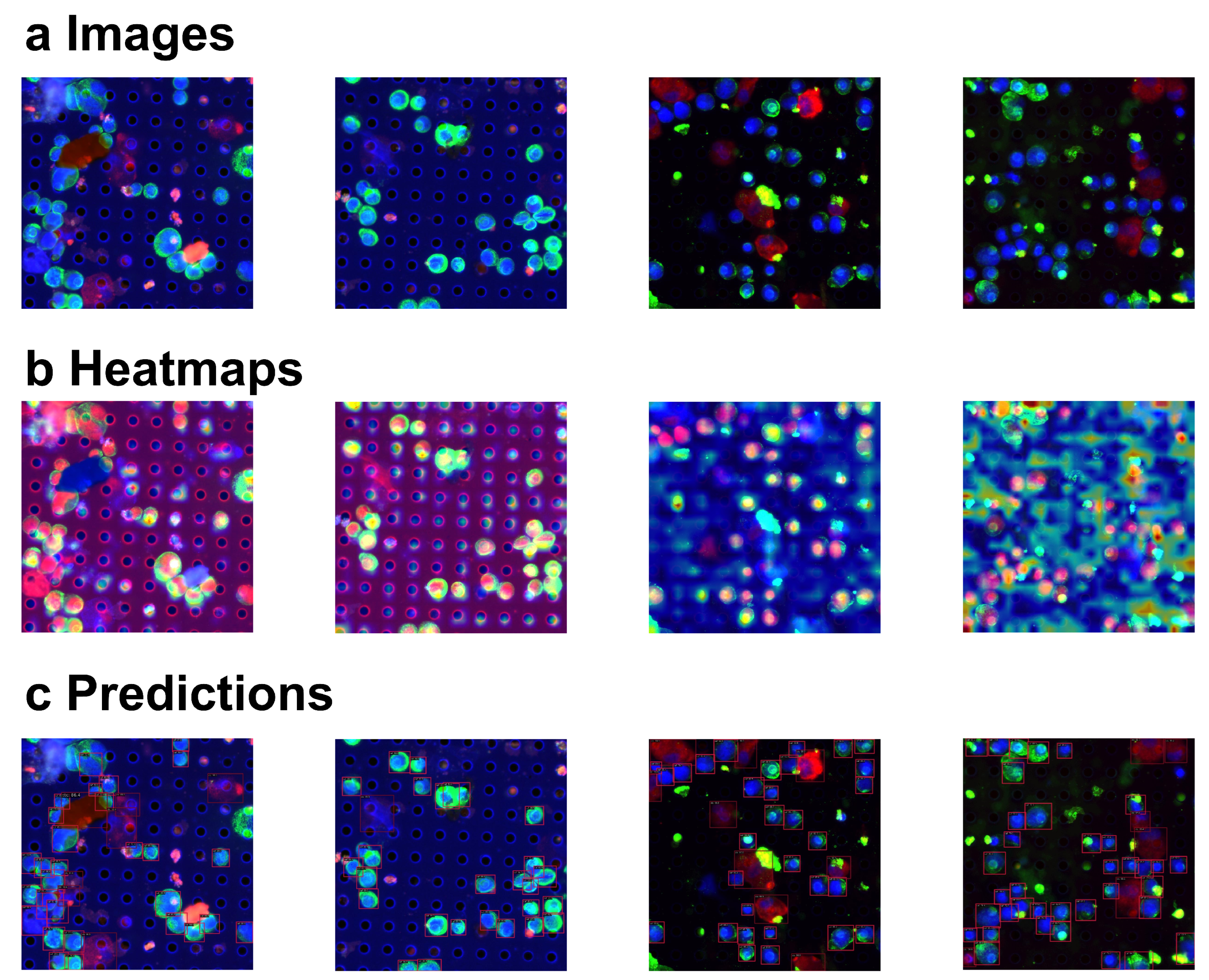 Sensors 24 07822 g005