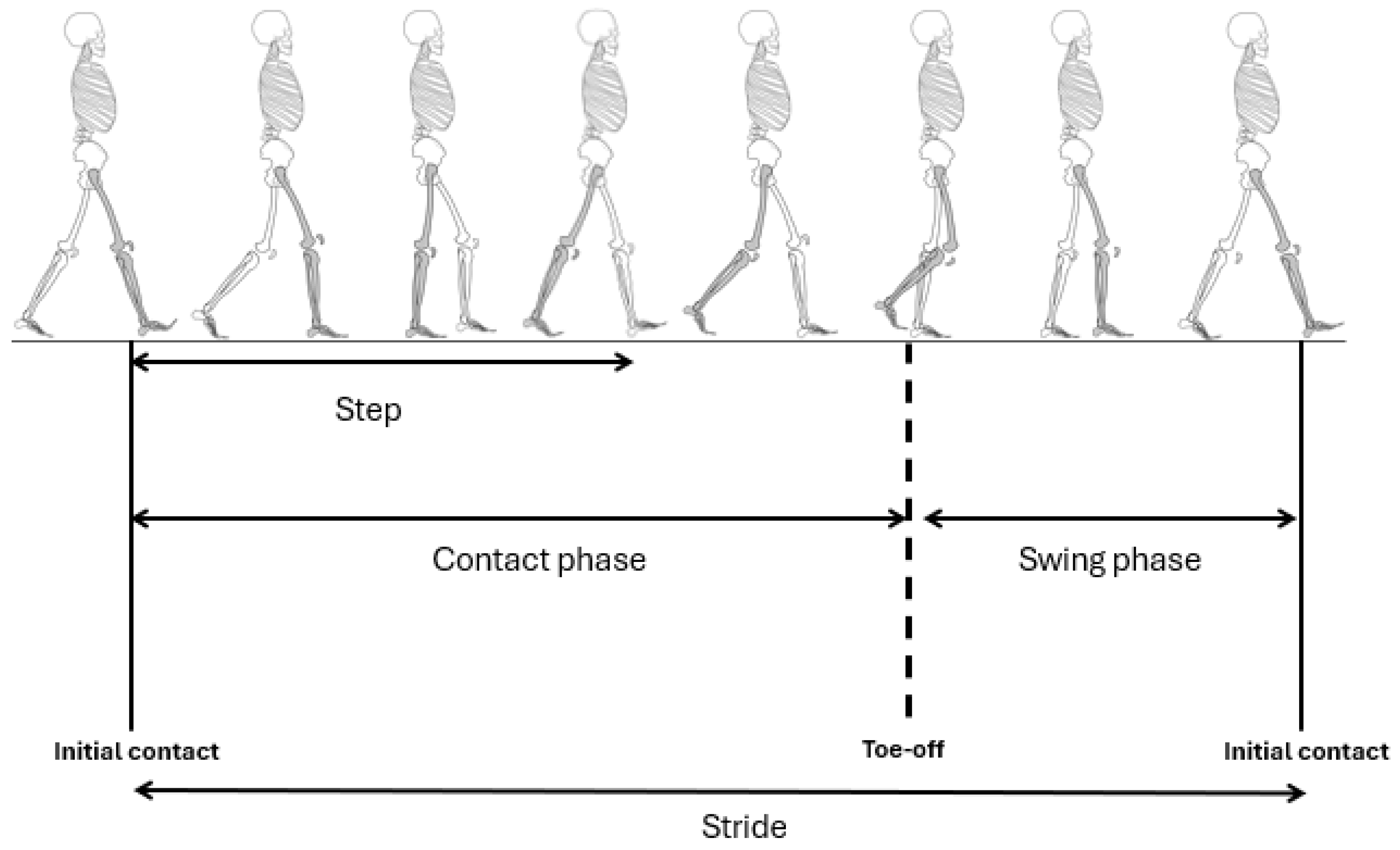 Sensors 24 07825 g002