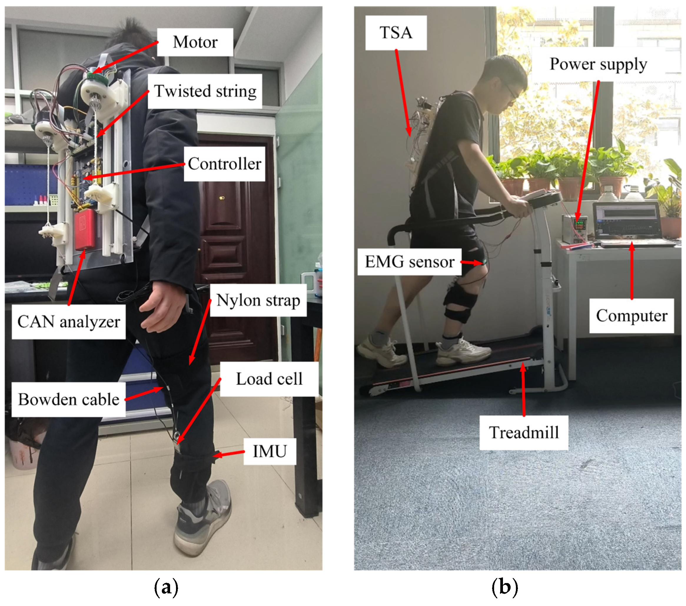 Sensors 24 07845 g004