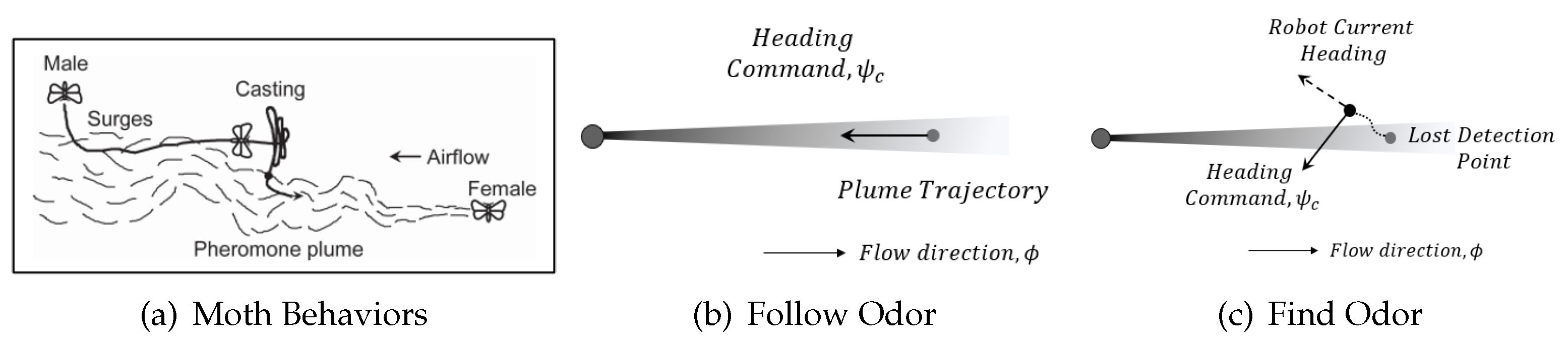 Sensors 24 07875 g007 Sensors 24 07875 g007