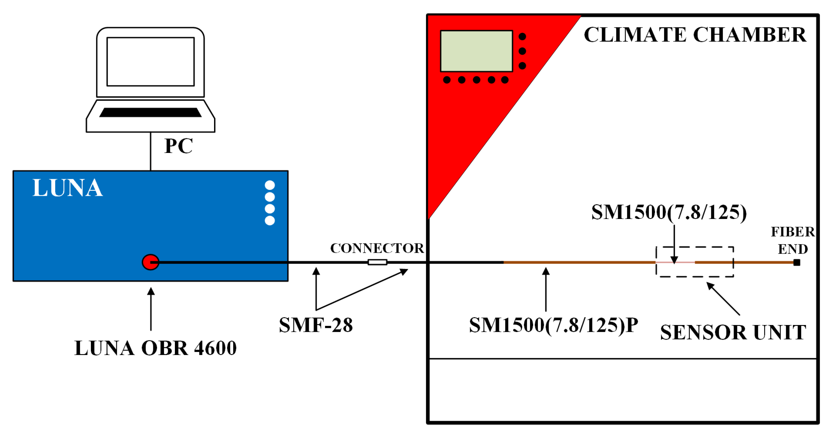 Sensors 24 07913 g001