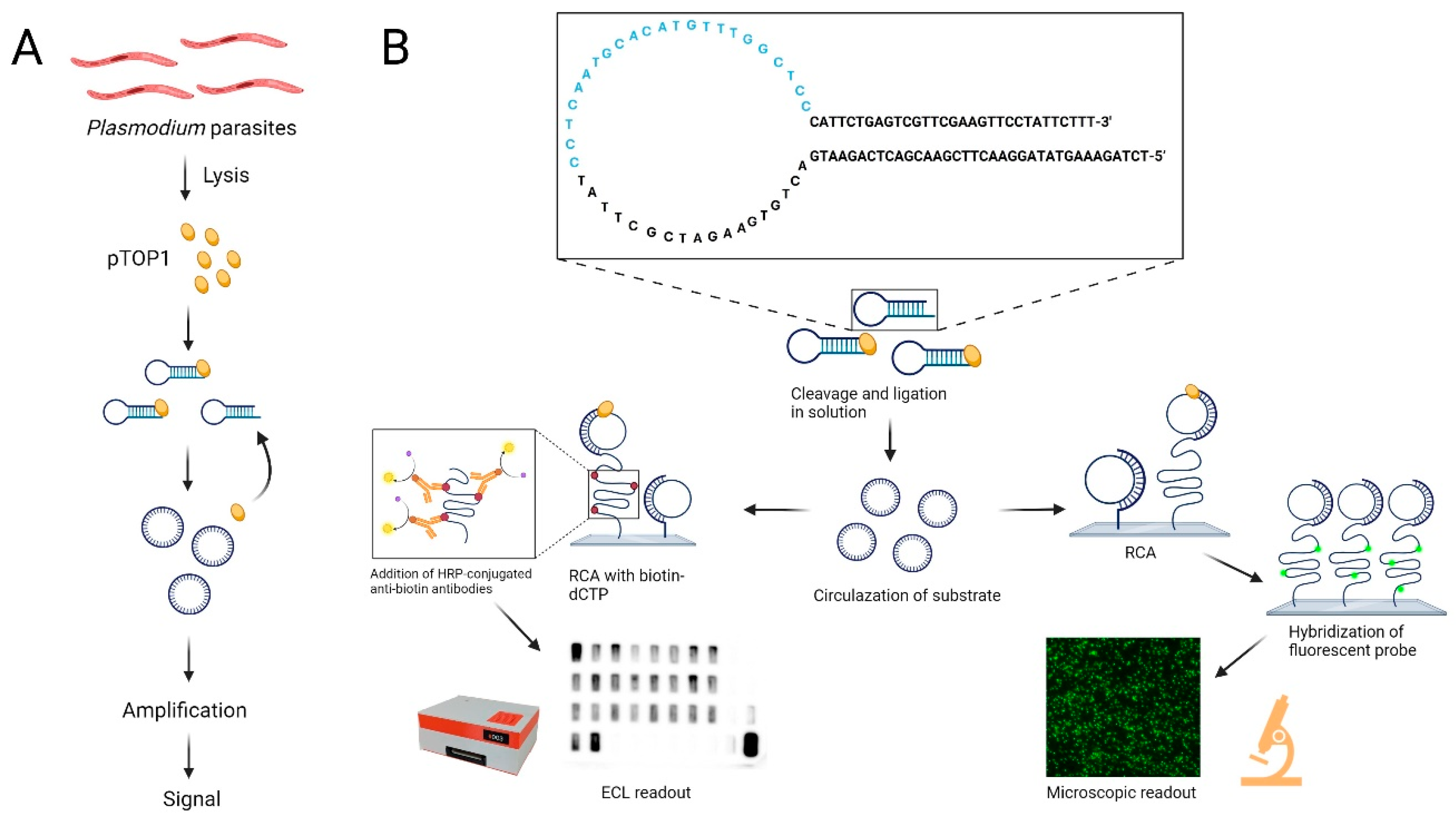 Sensors 24 07947 g001 Sensors 24 07947 g001