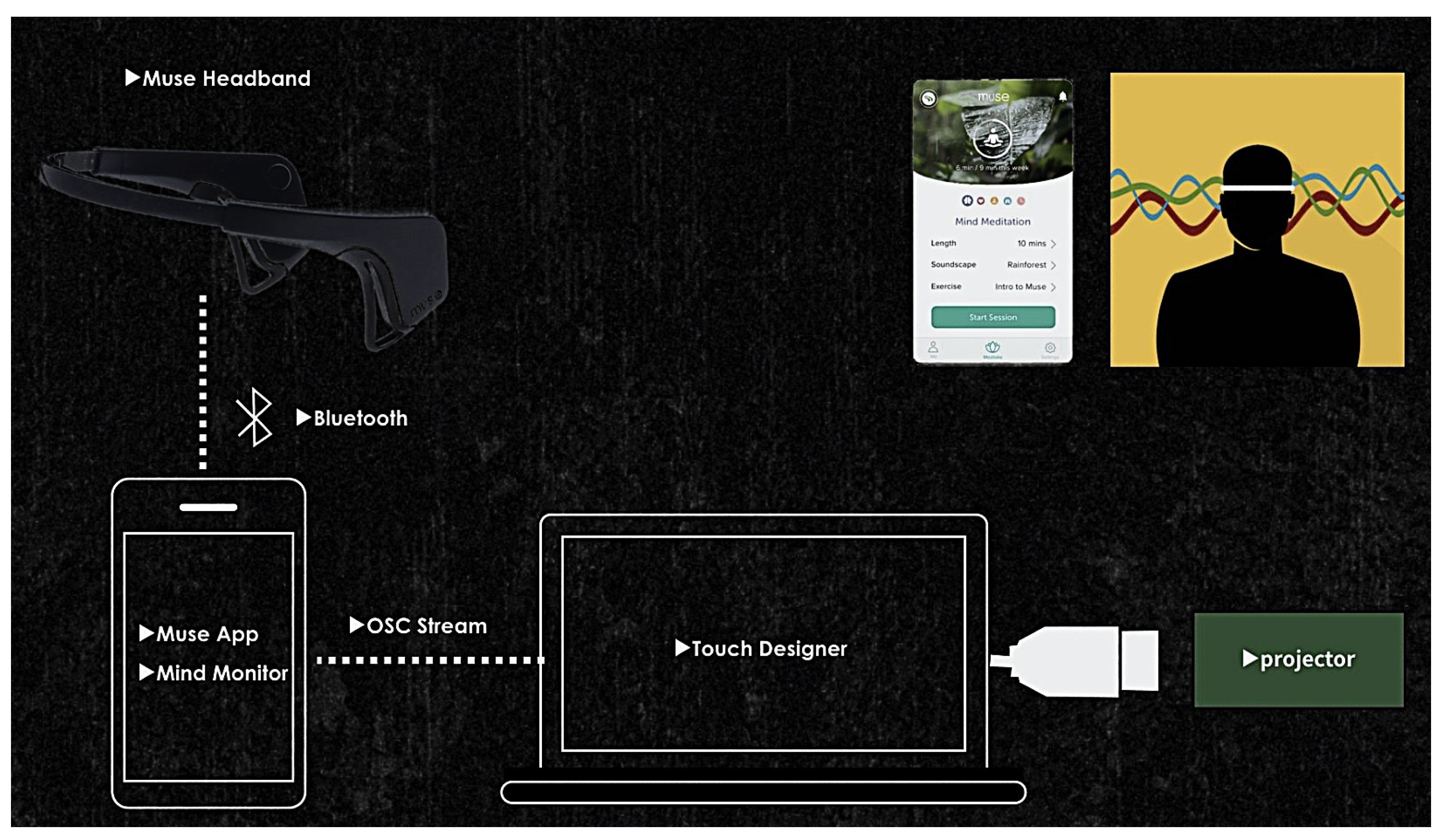Sensors 24 07951 g011