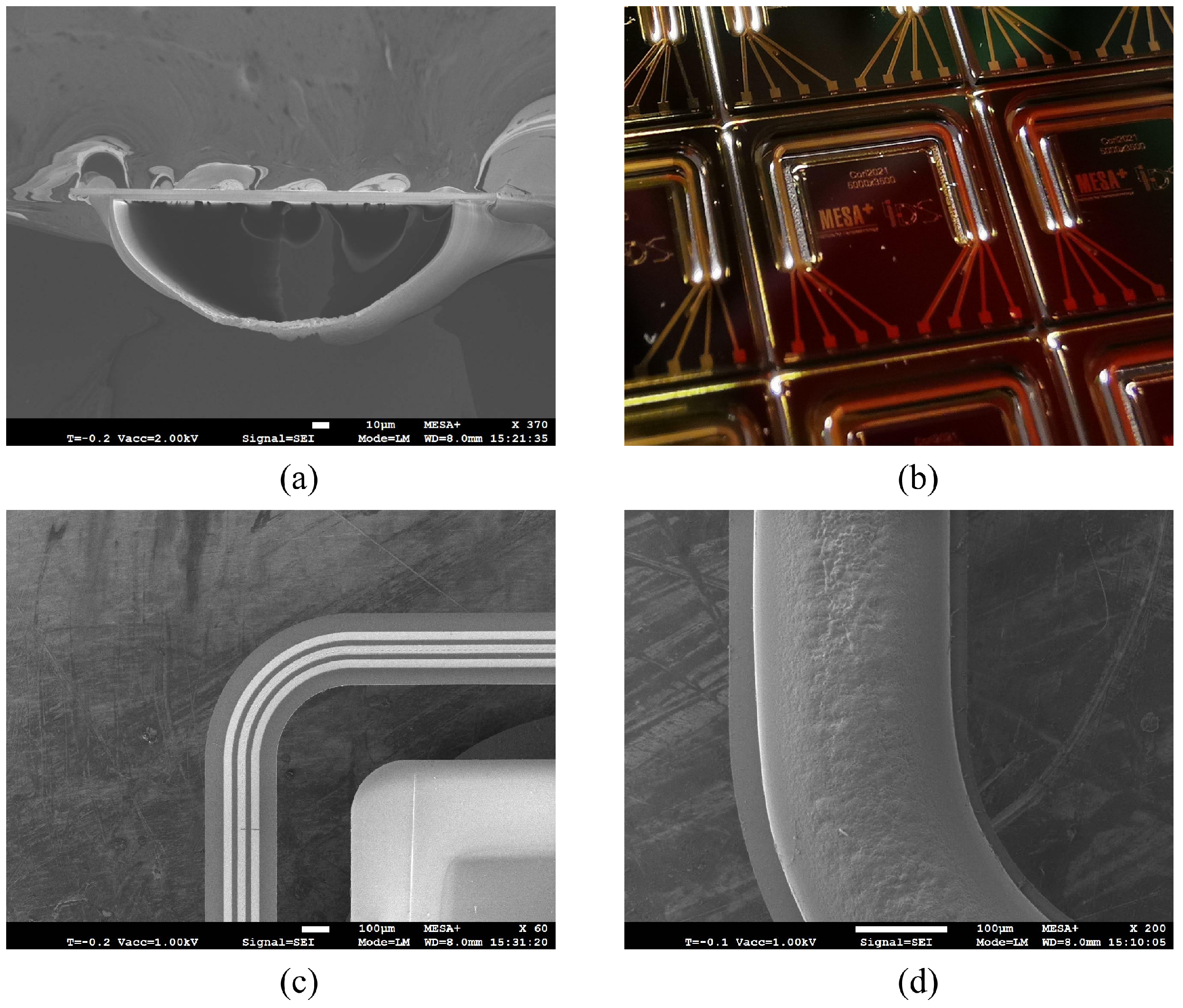 Sensors 24 07952 g012