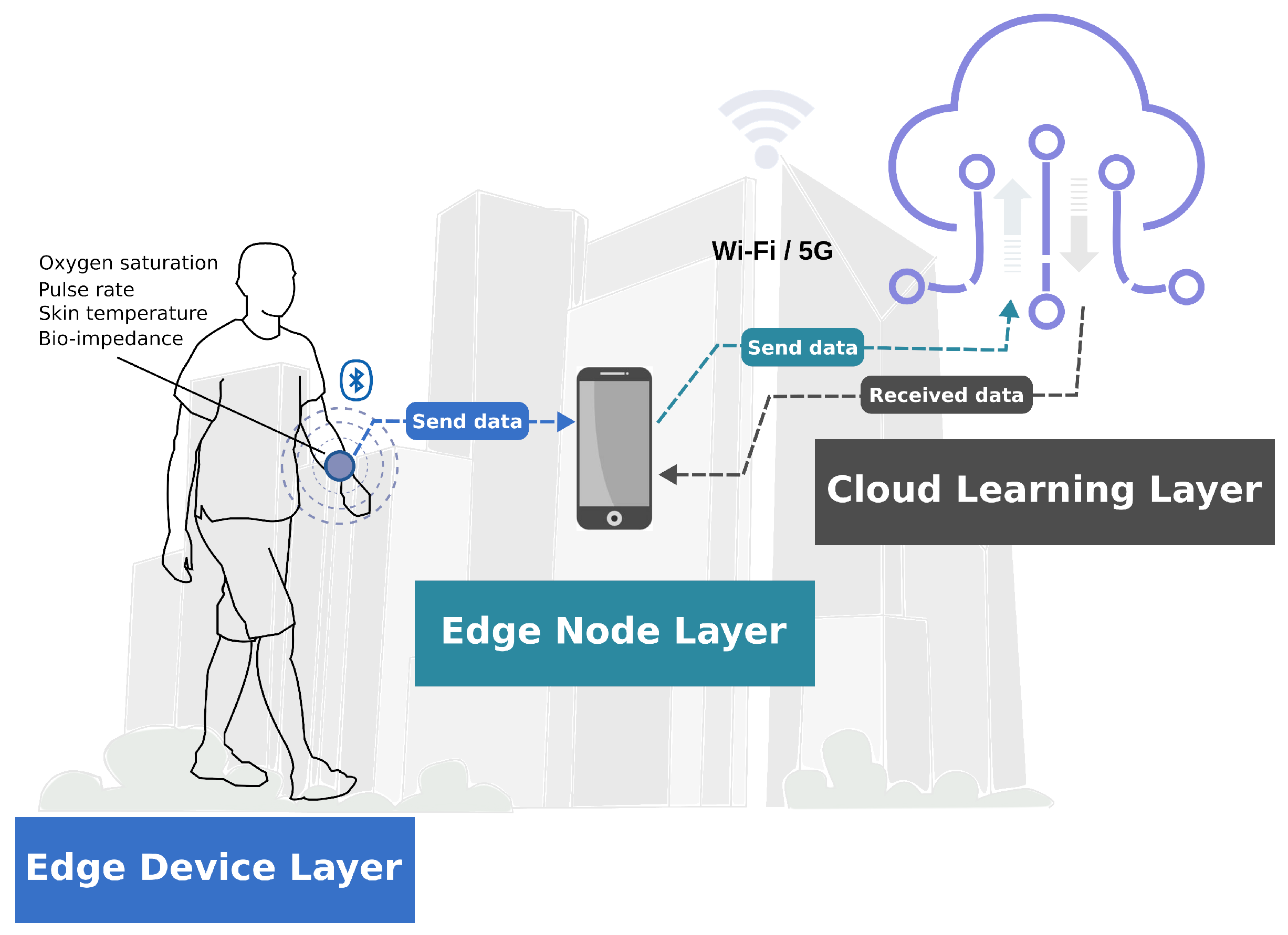 Sensors 24 07965 g001