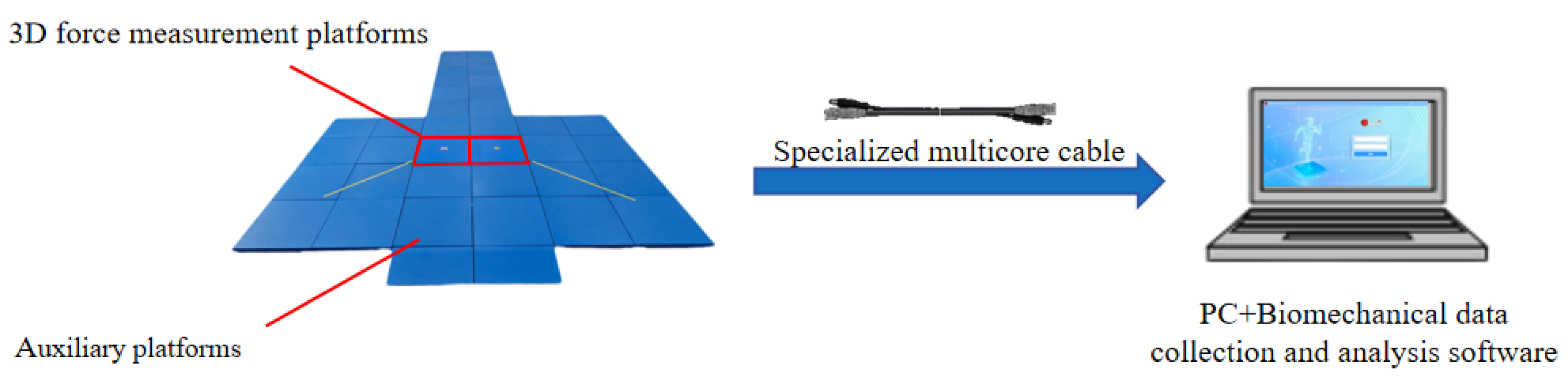 Sensors 24 07972 g001