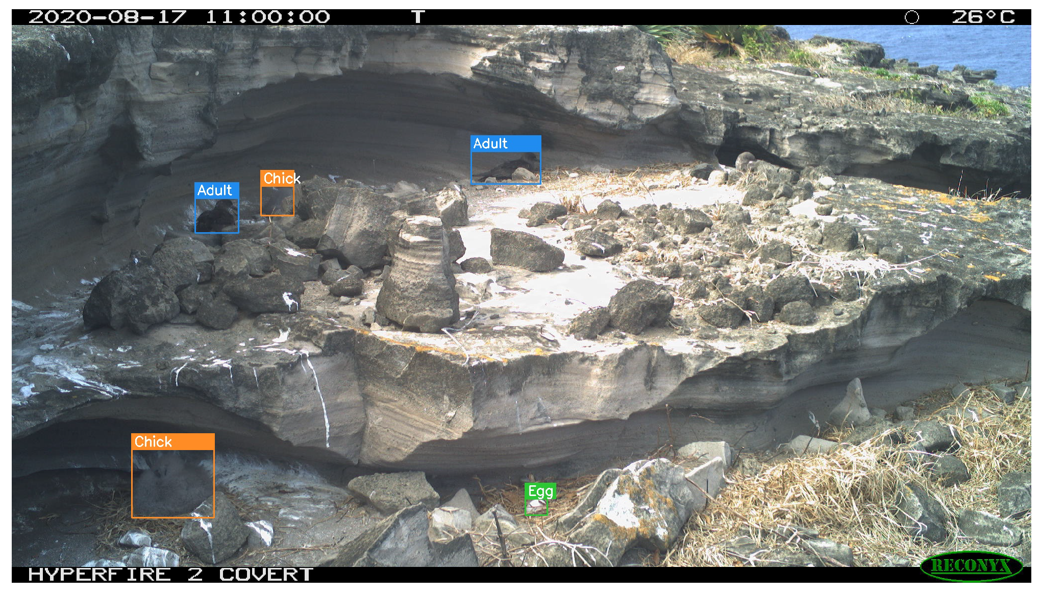 Sensors 24 08002 g001