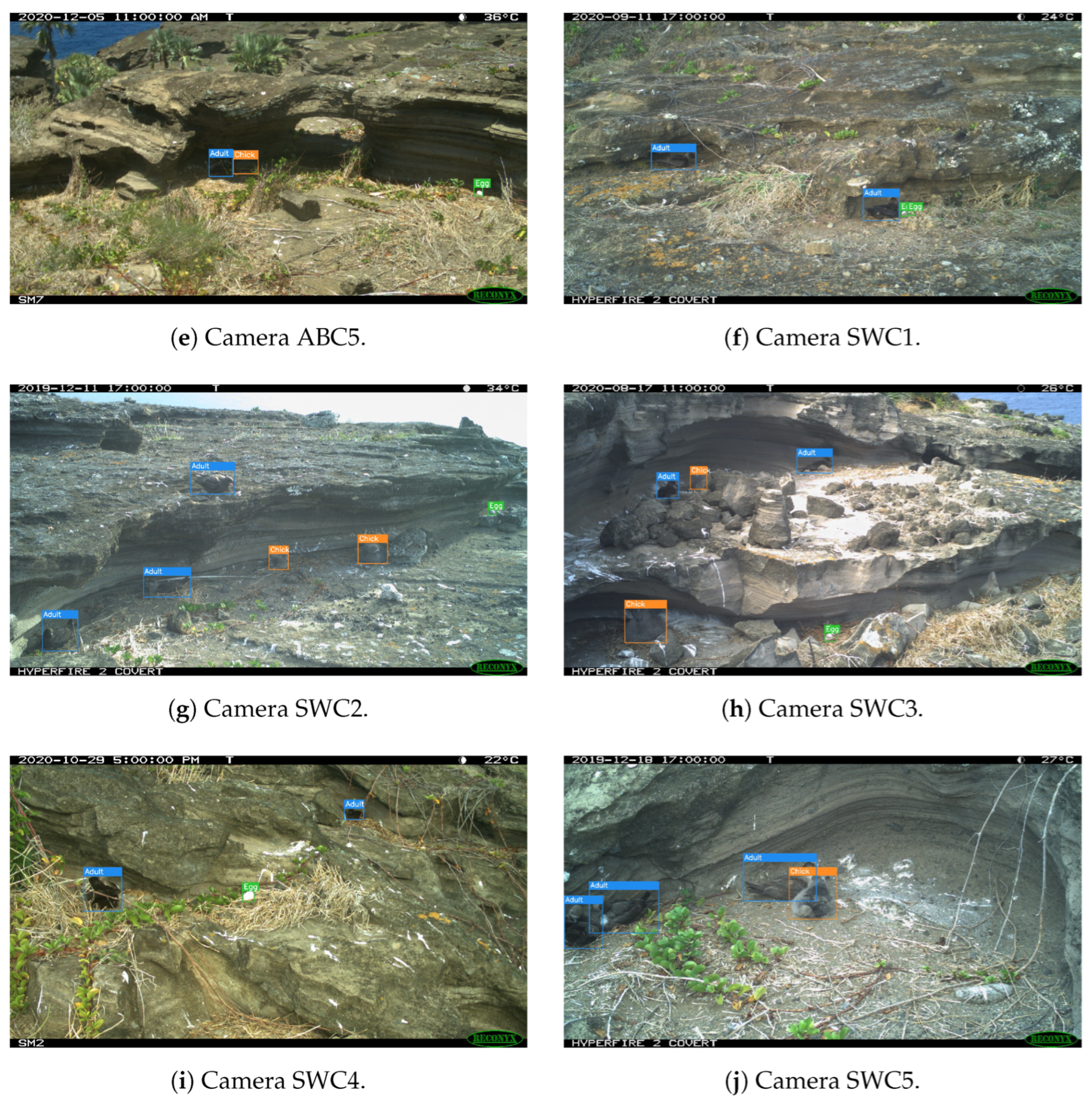 Sensors 24 08002 g004b