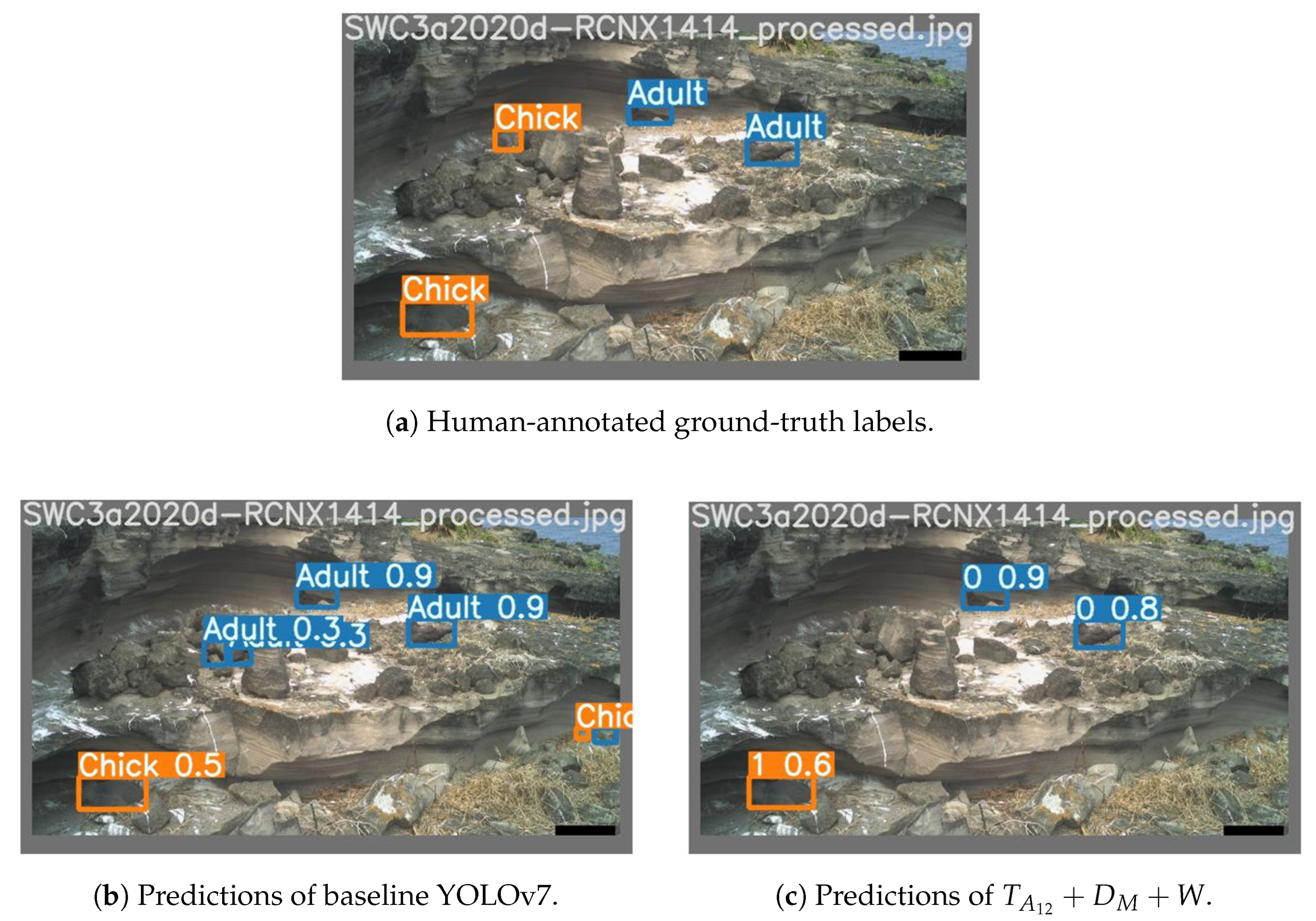 Sensors 24 08002 g010