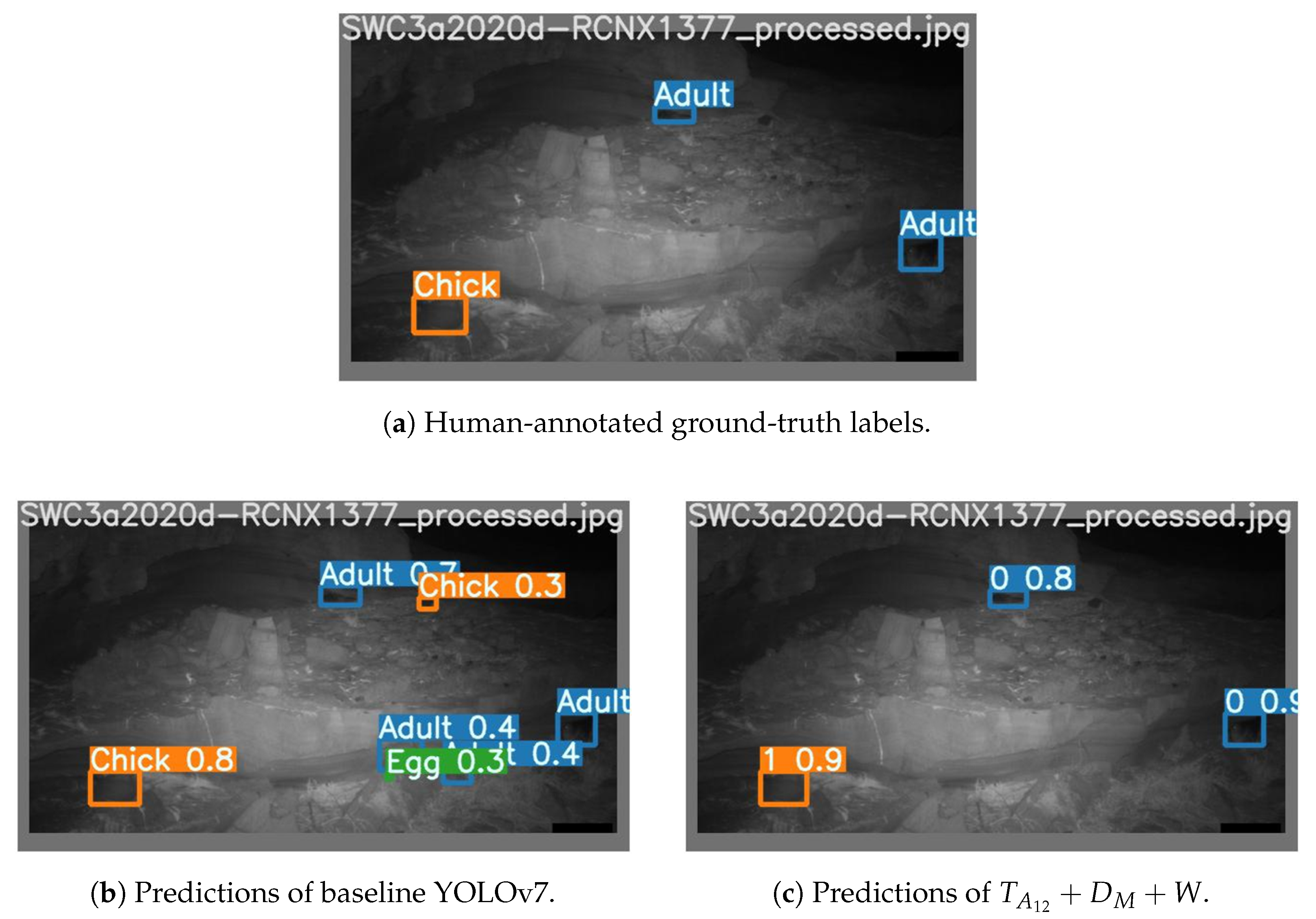 Sensors 24 08002 g011