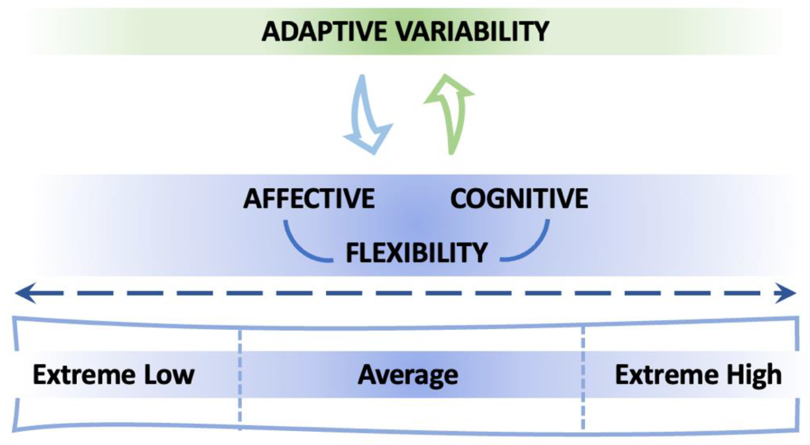 Sensors 24 08047 g001