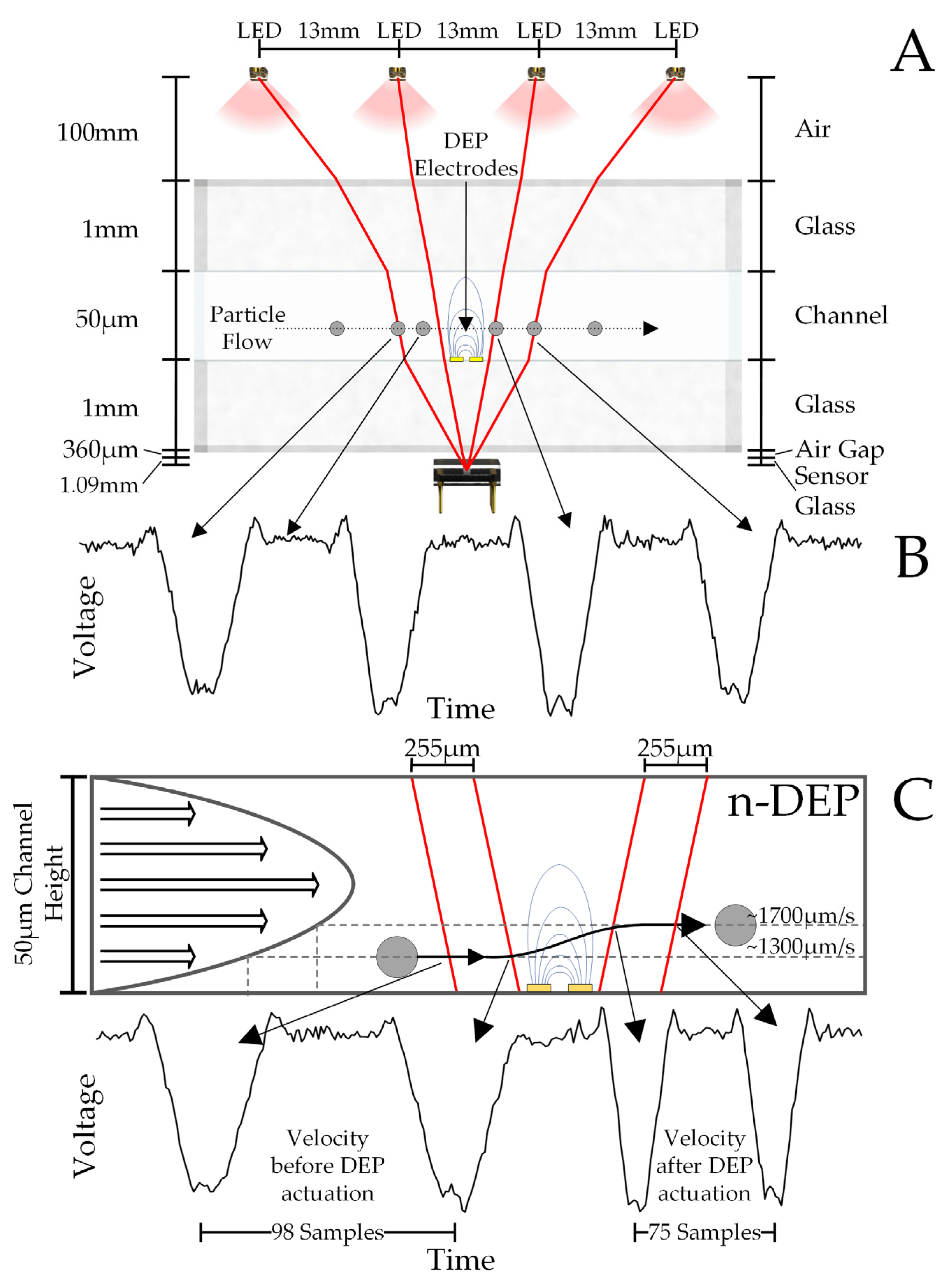 Sensors 24 08071 g003