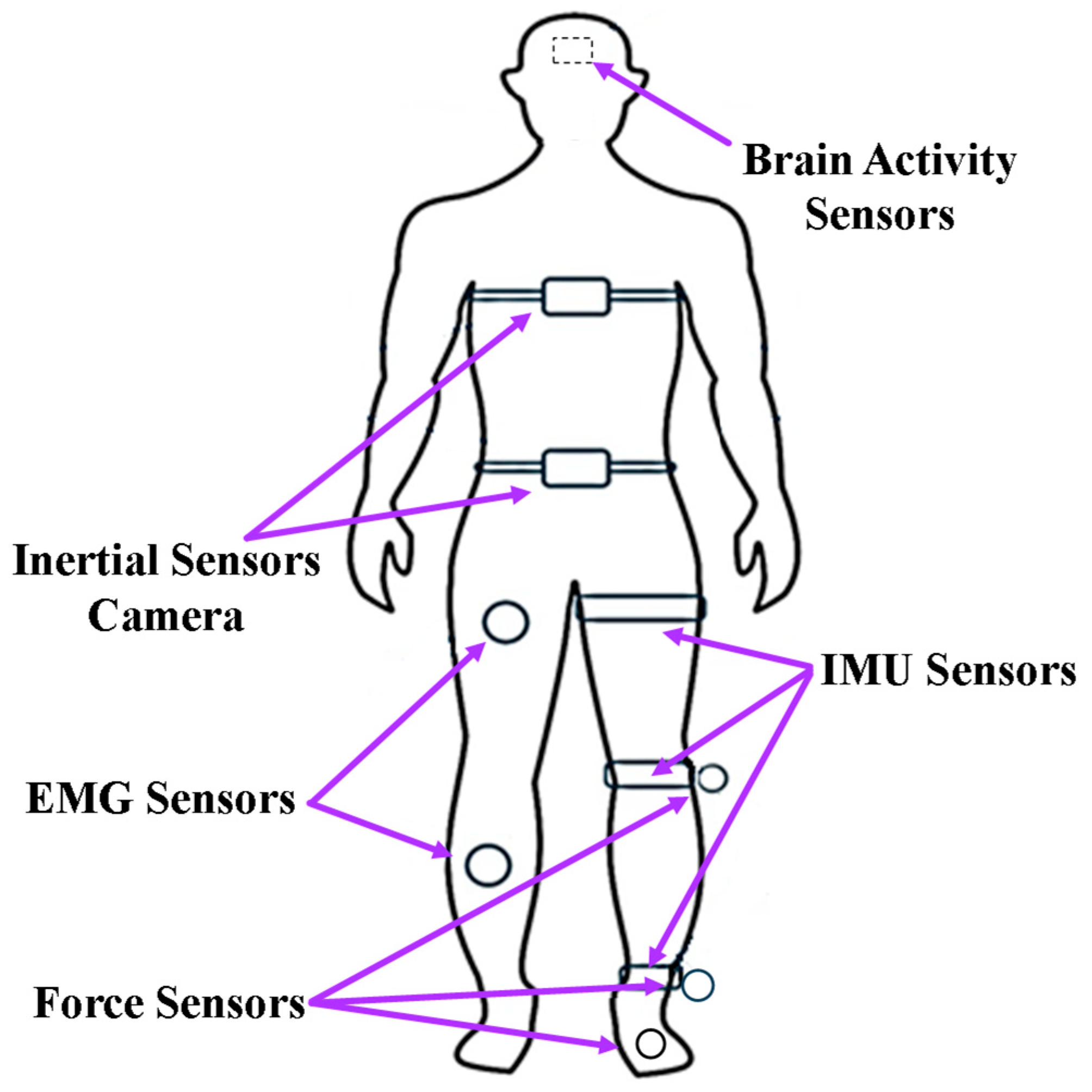 Sensors 24 08090 g003