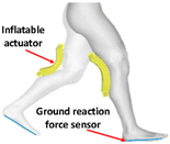 Sensors 24 08090 i029