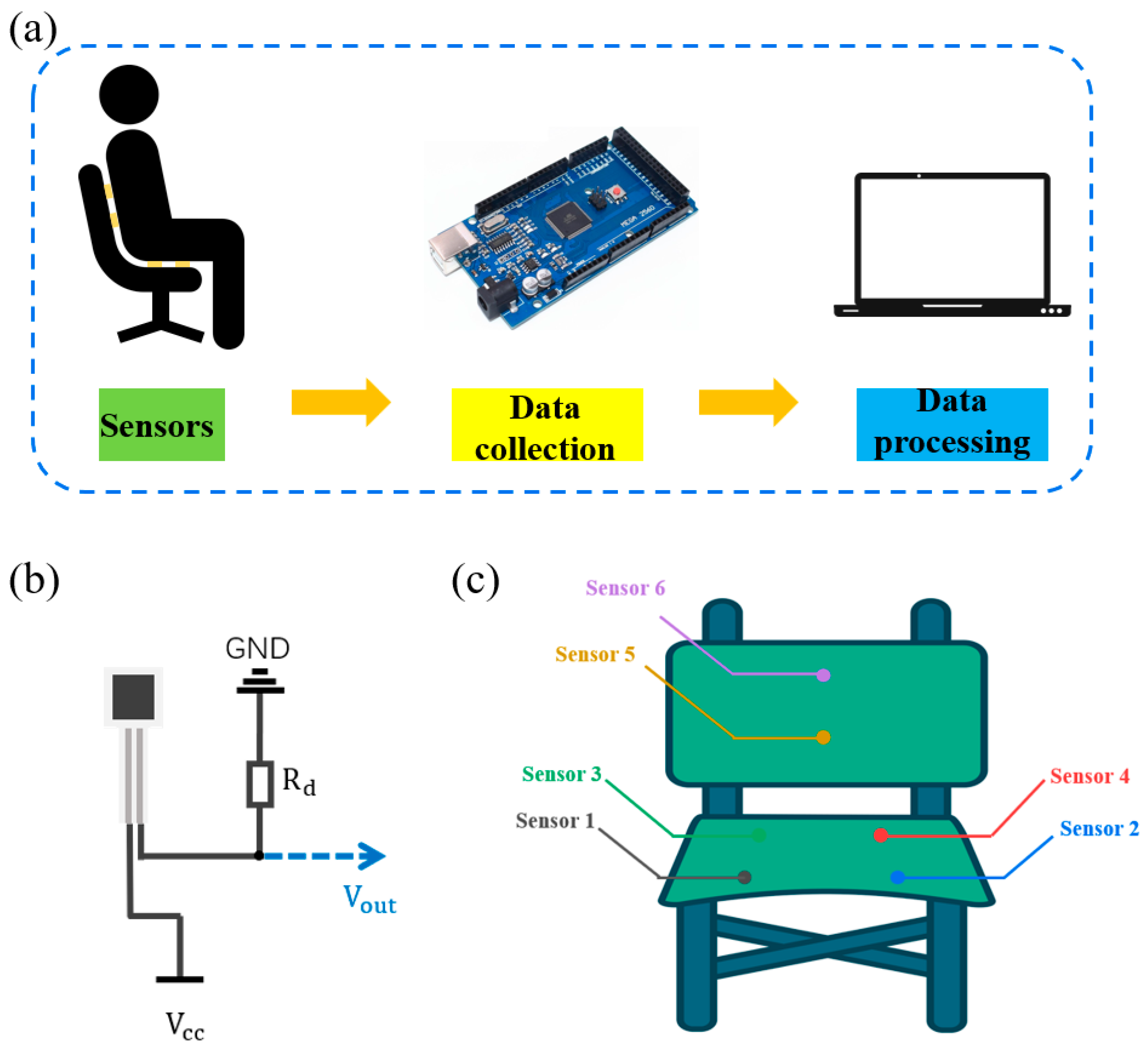 Sensors 24 08114 g008