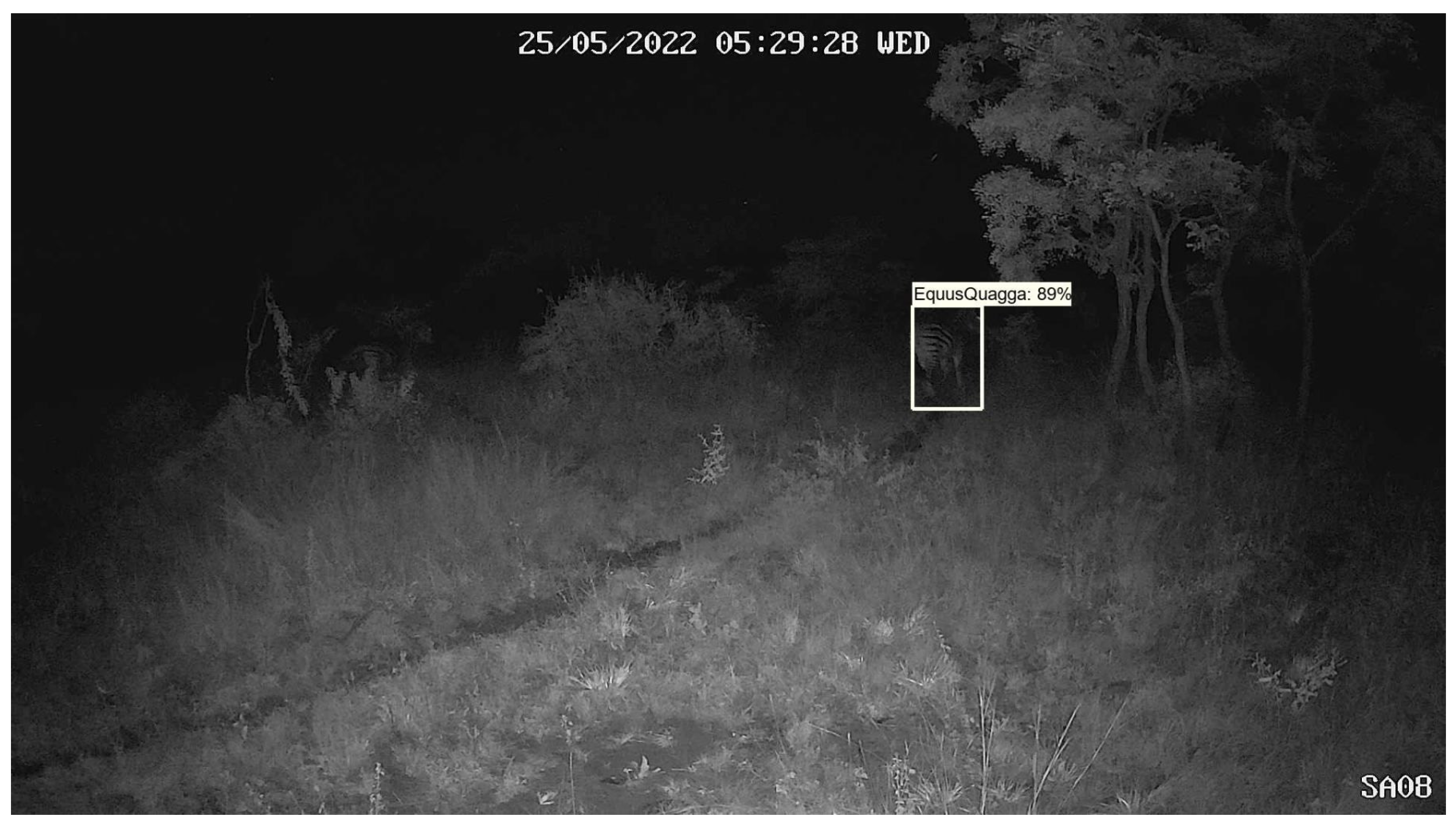 Sensors 24 08122 g004