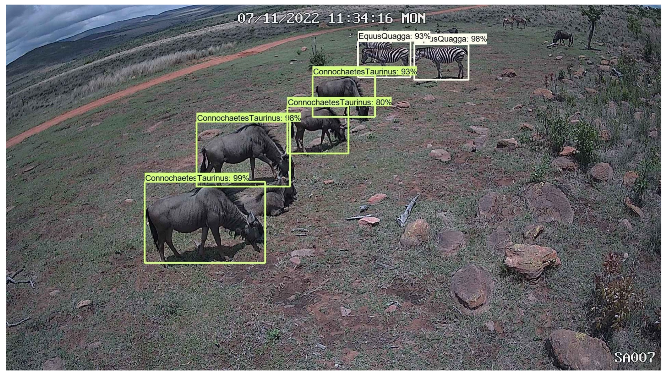 Sensors 24 08122 g005