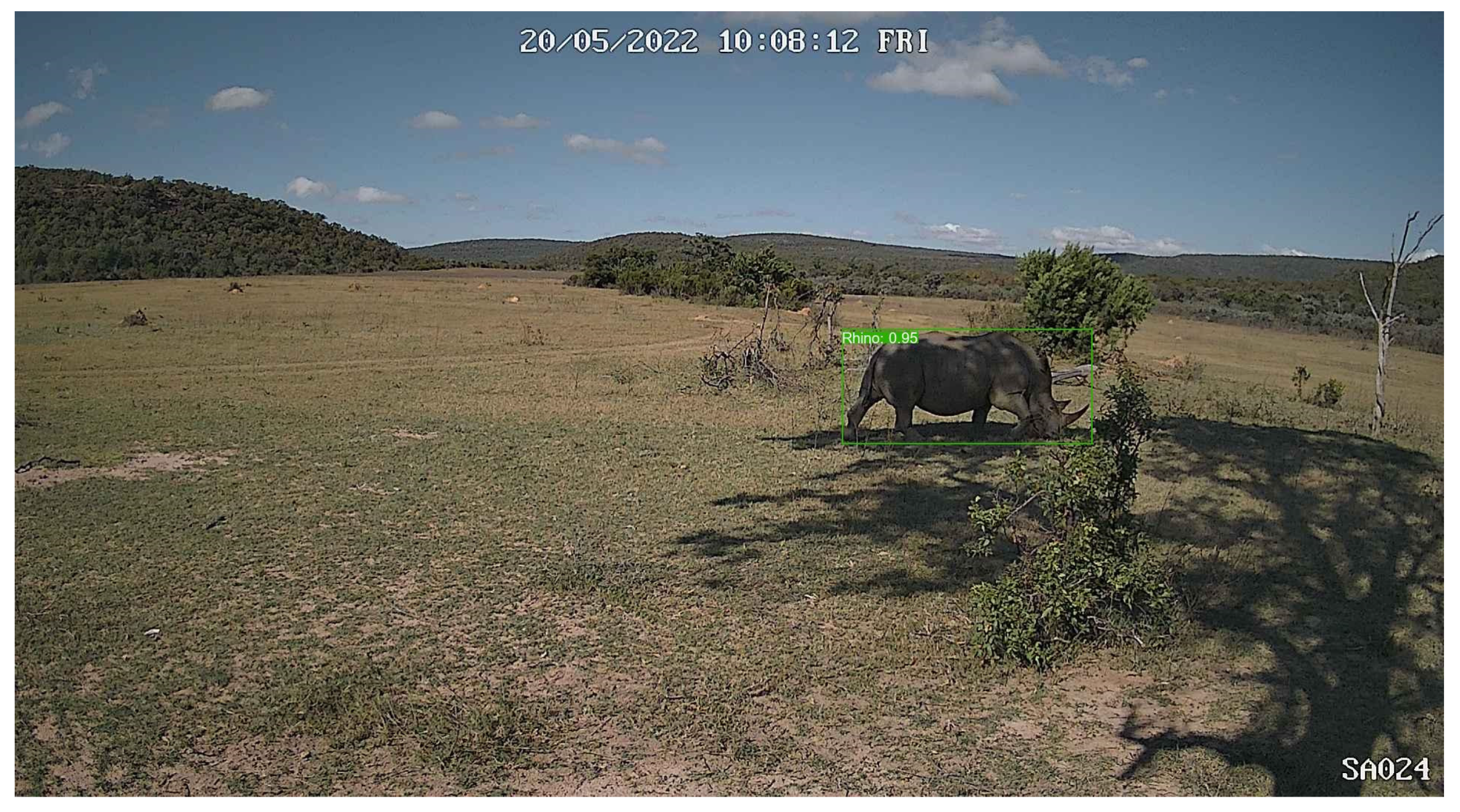 Sensors 24 08122 g0a1