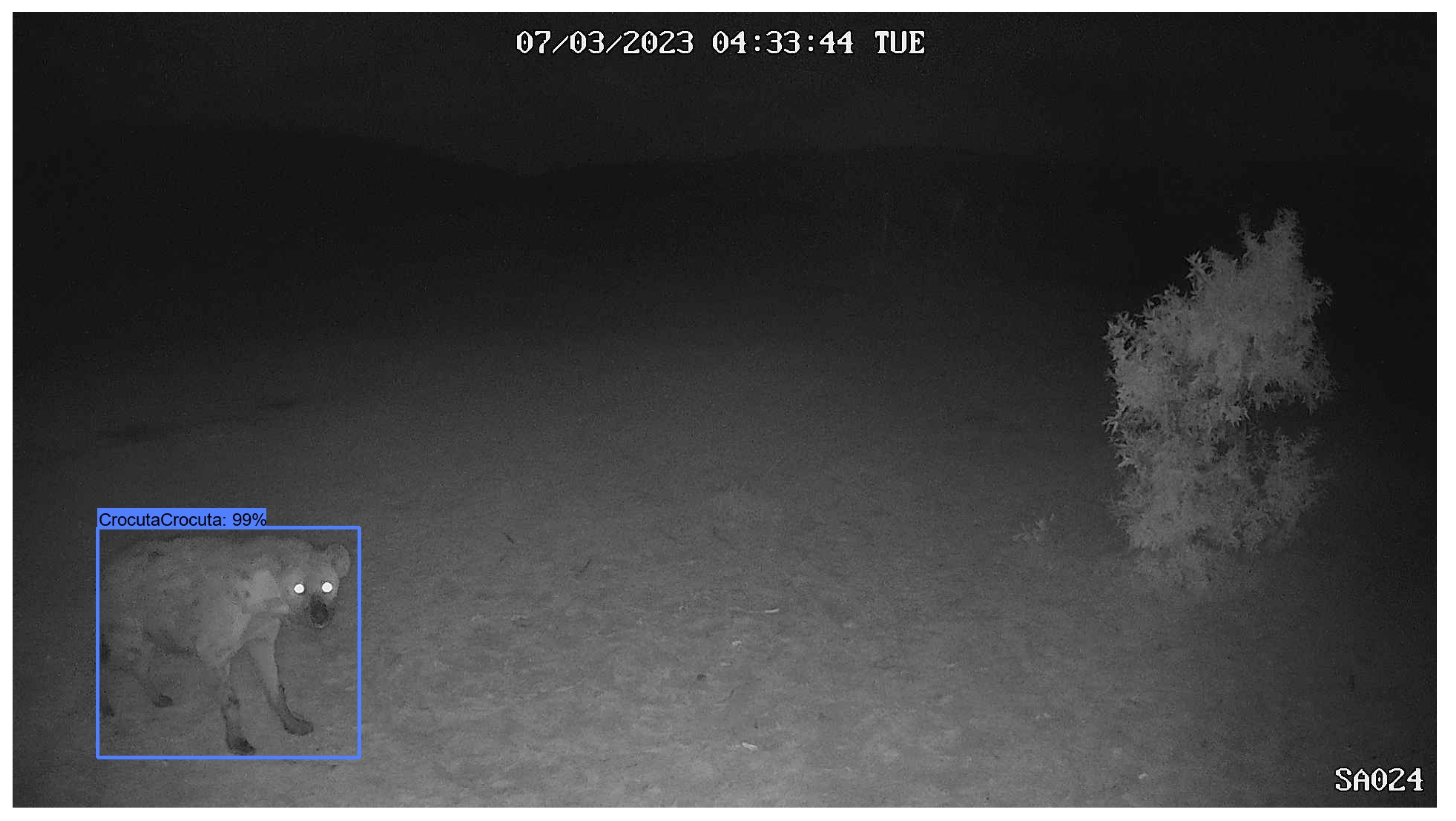 Sensors 24 08122 g0a10