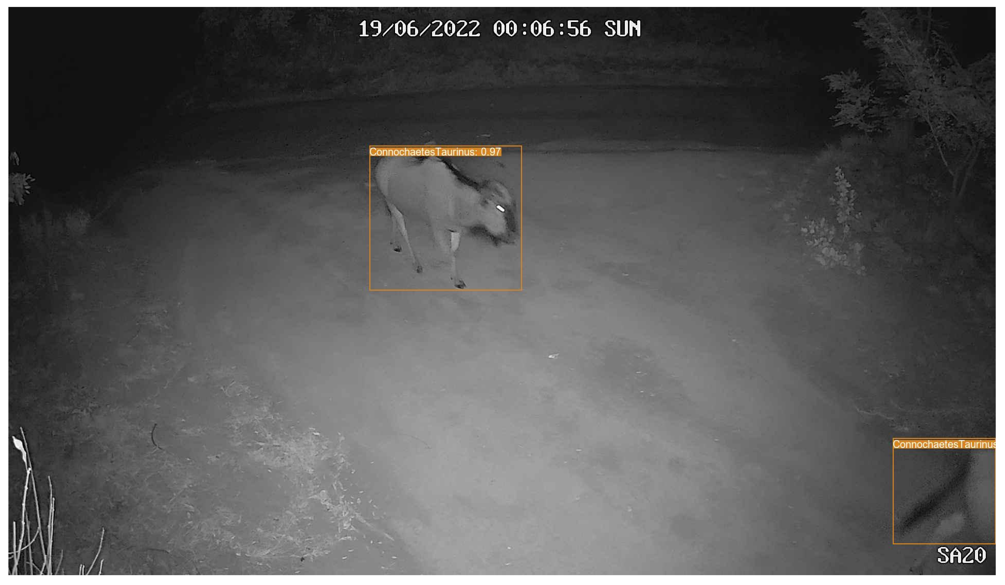 Sensors 24 08122 g0a2