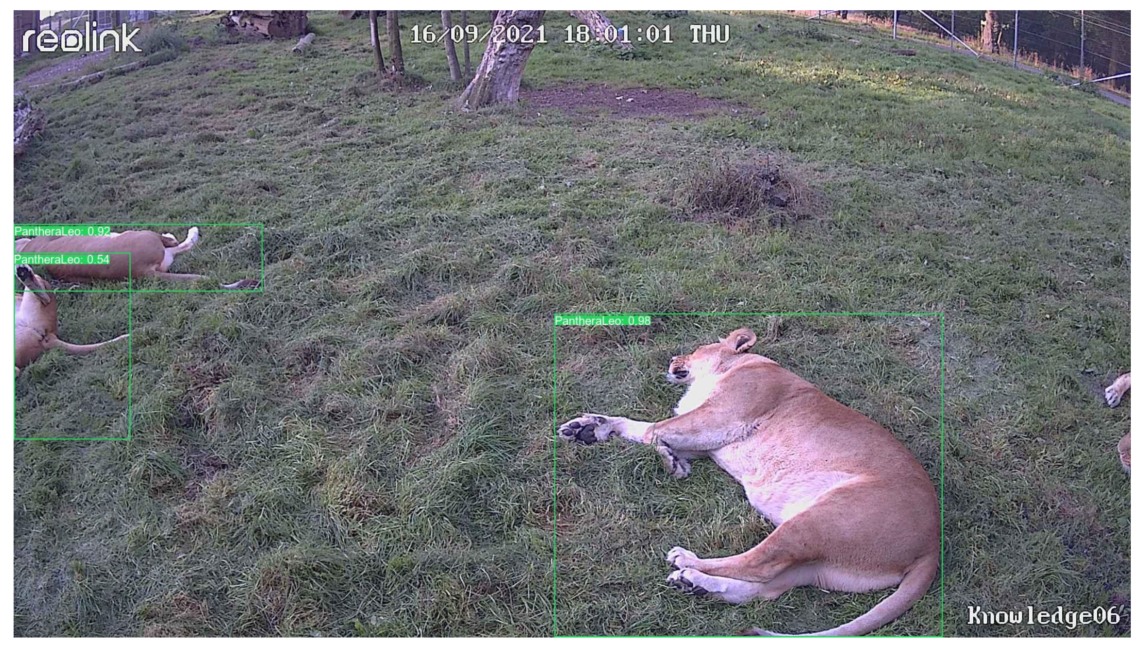 Sensors 24 08122 g0a7