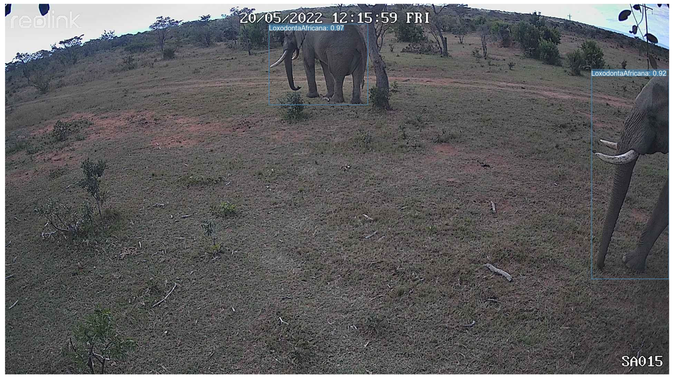 Sensors 24 08122 g0a9