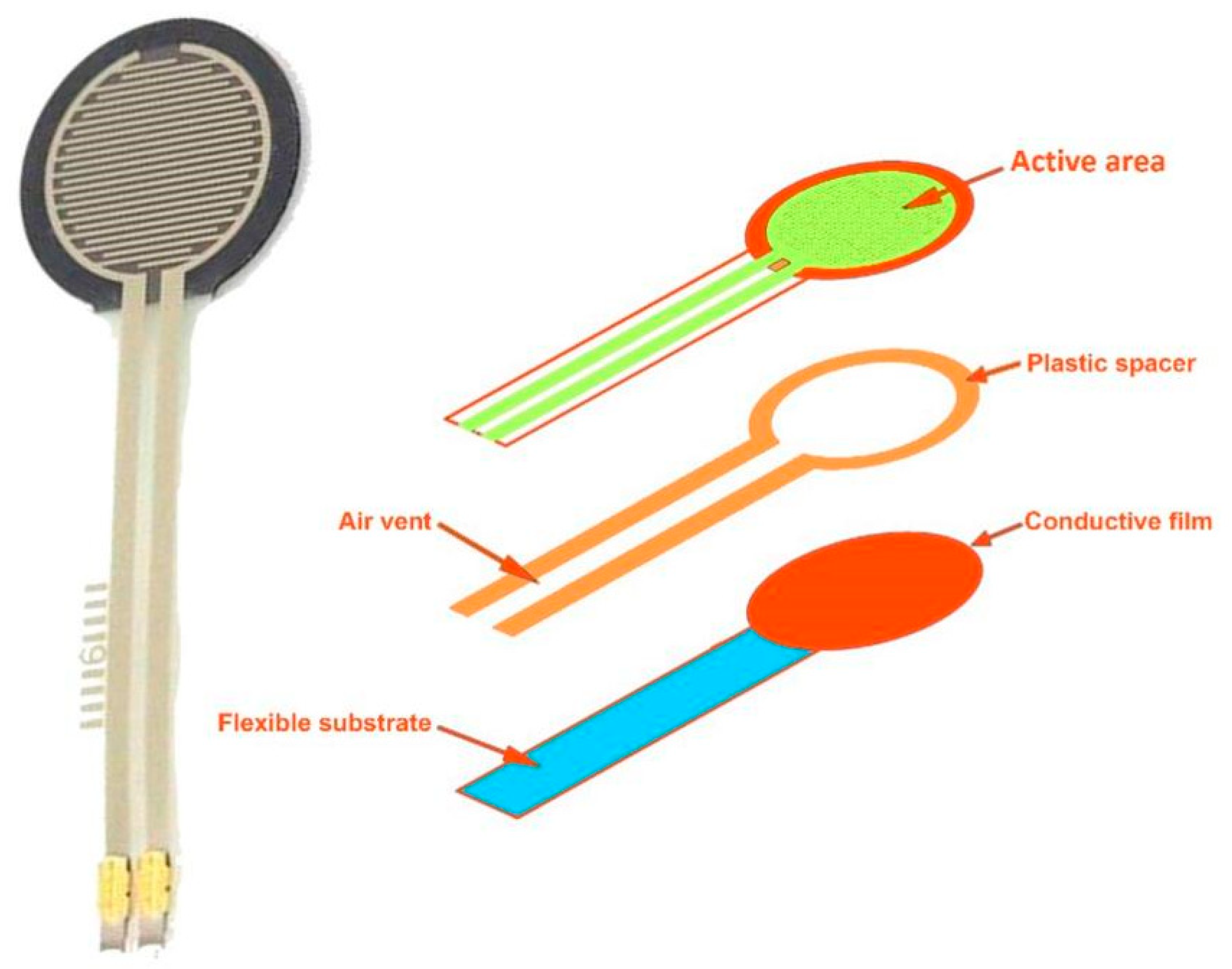 Sensors 24 08161 g013