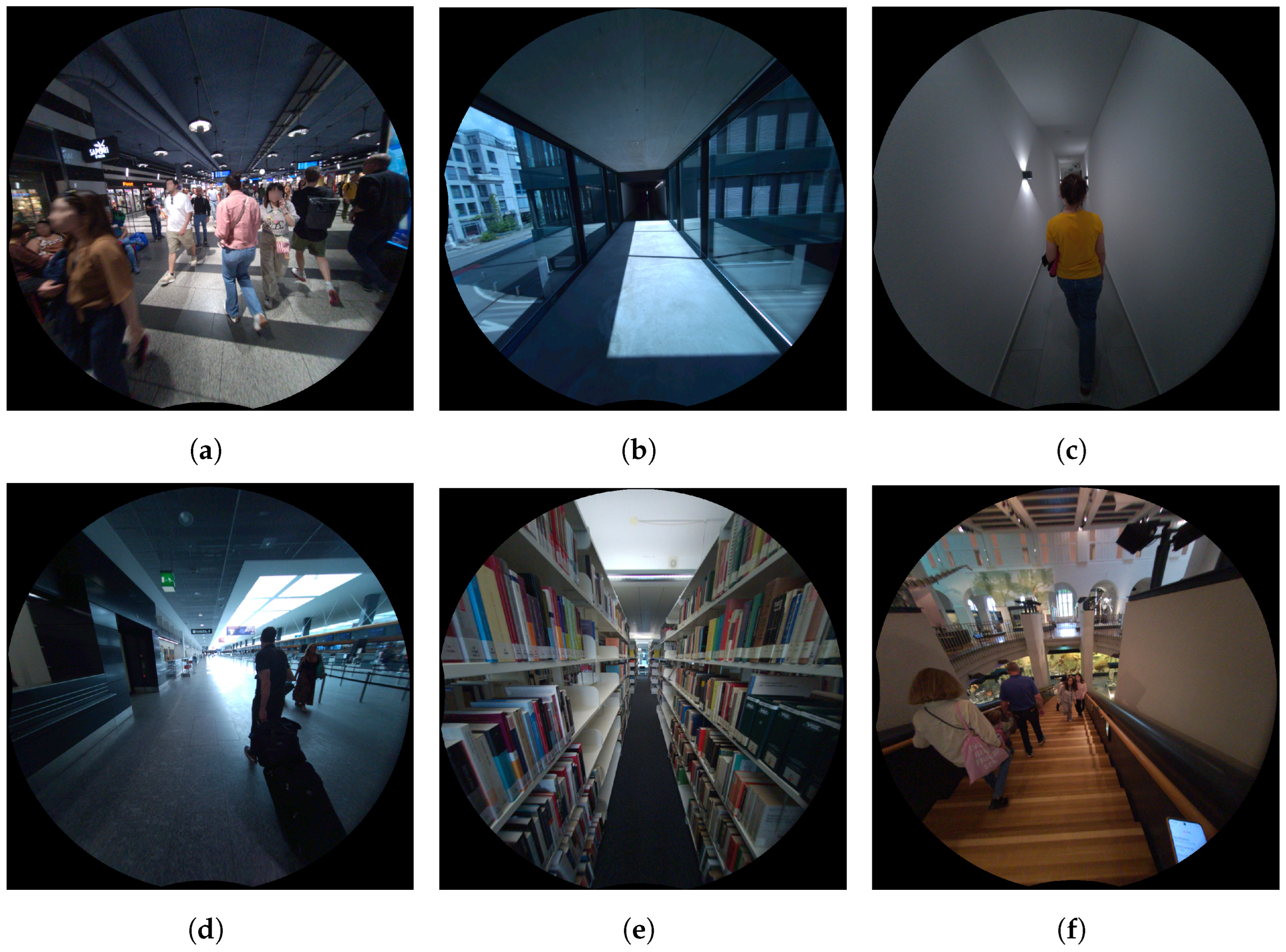 Sensors 24 08164 g007