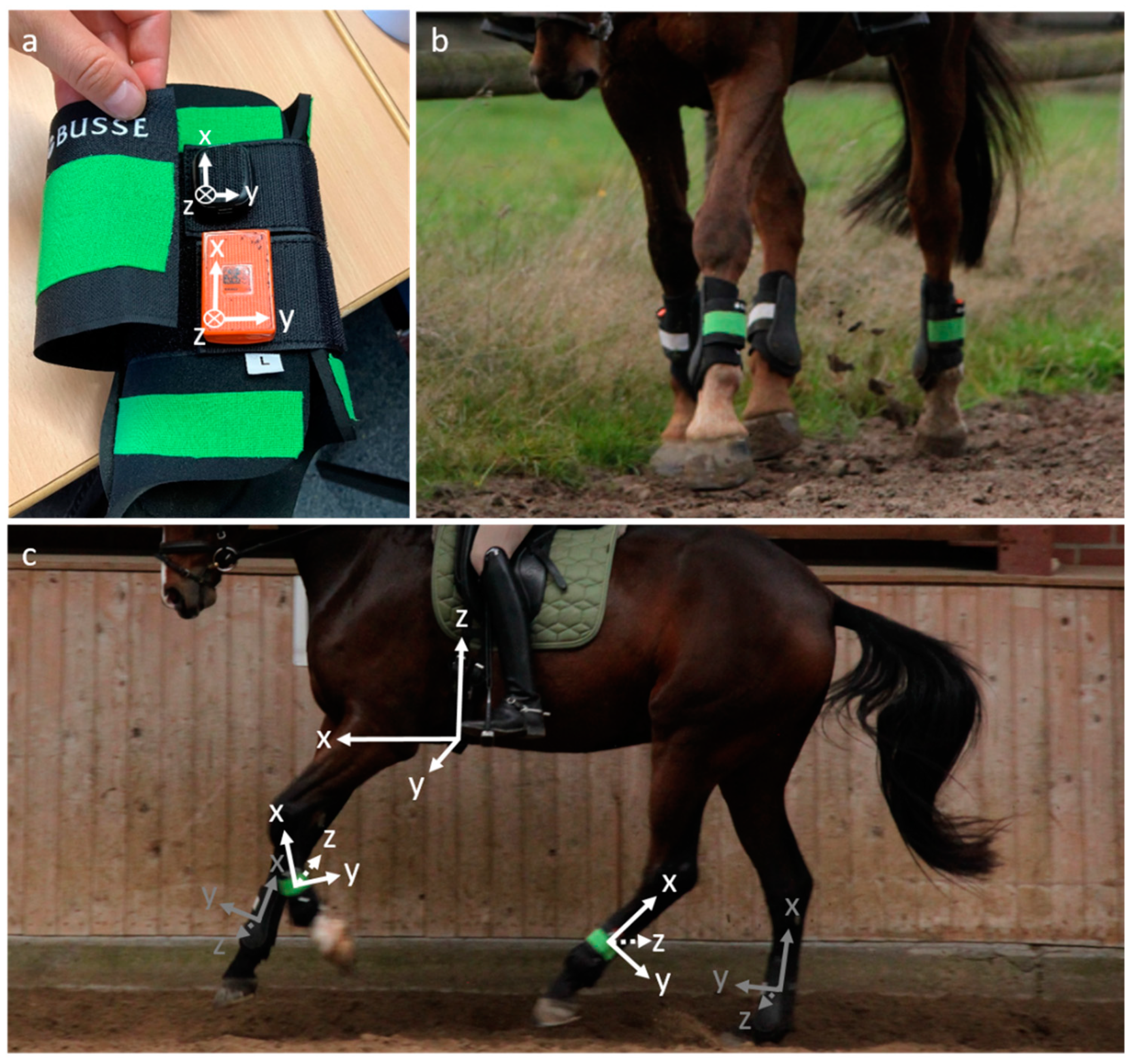 Sensors 24 08170 g001