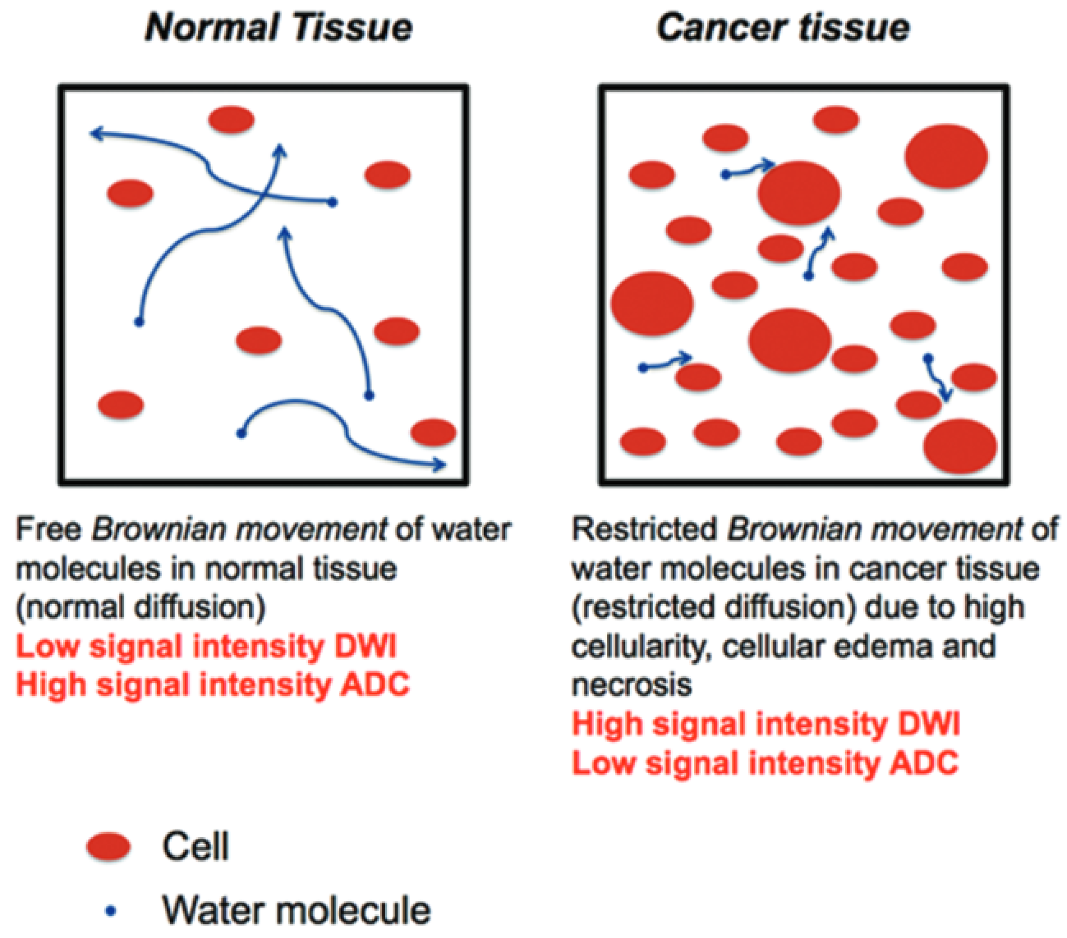 Sensors 24 08173 g001