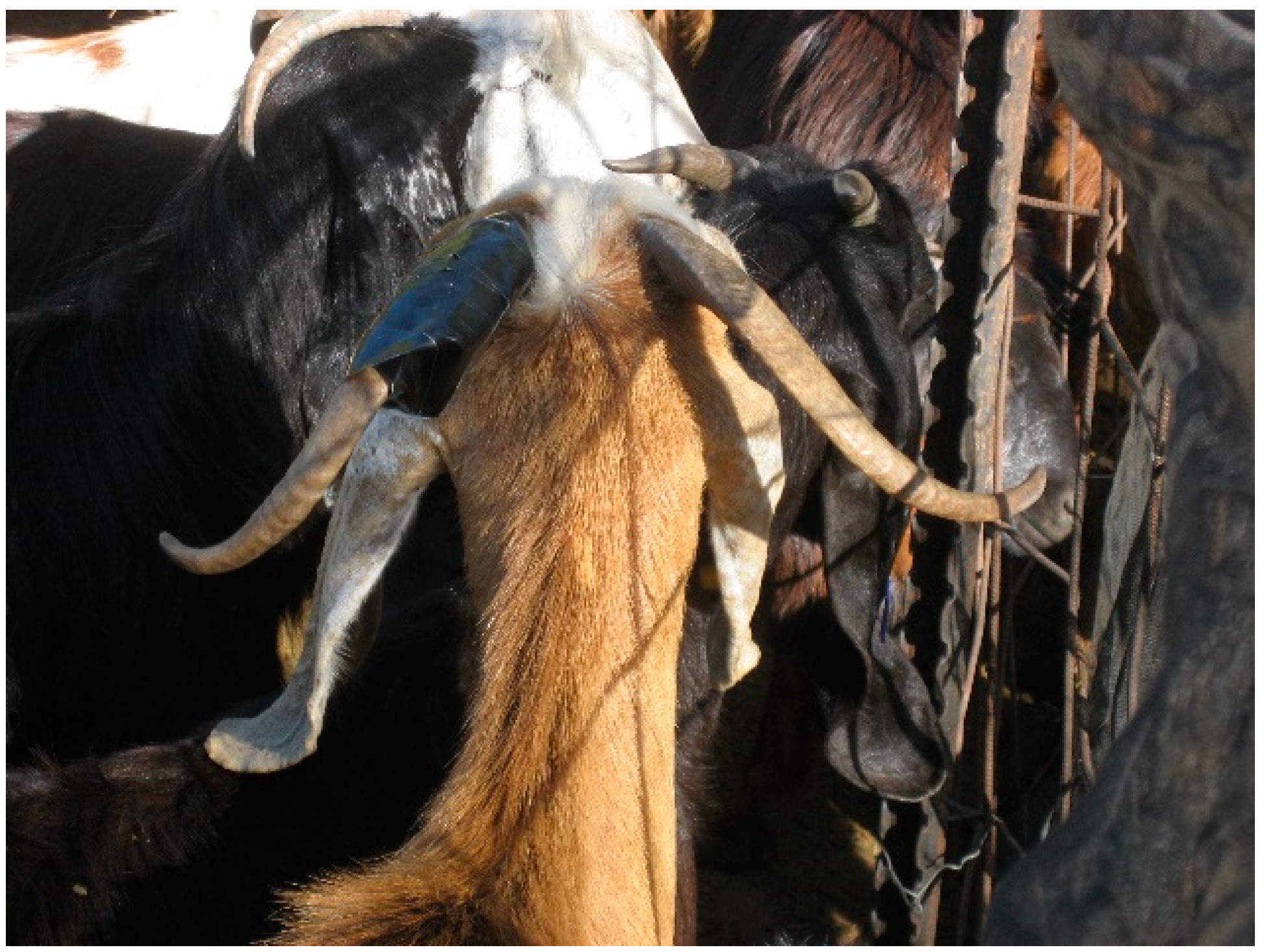 Sensors 25 00008 g001