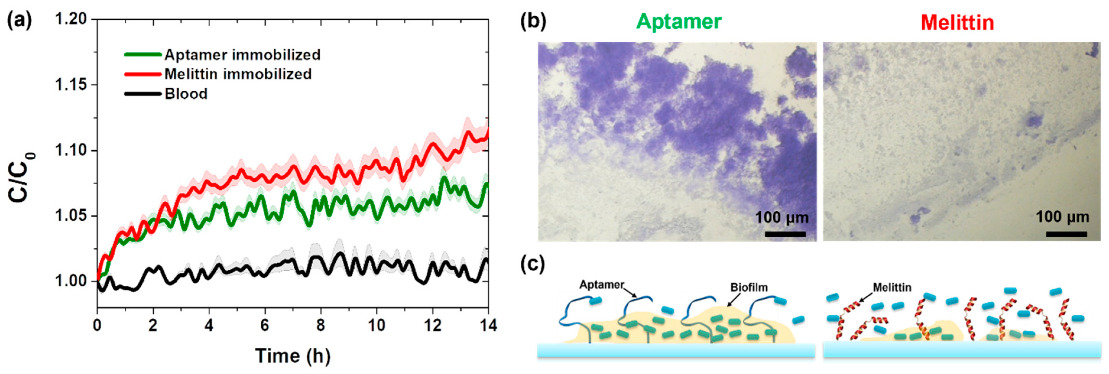 Sensors 25 00012 g004