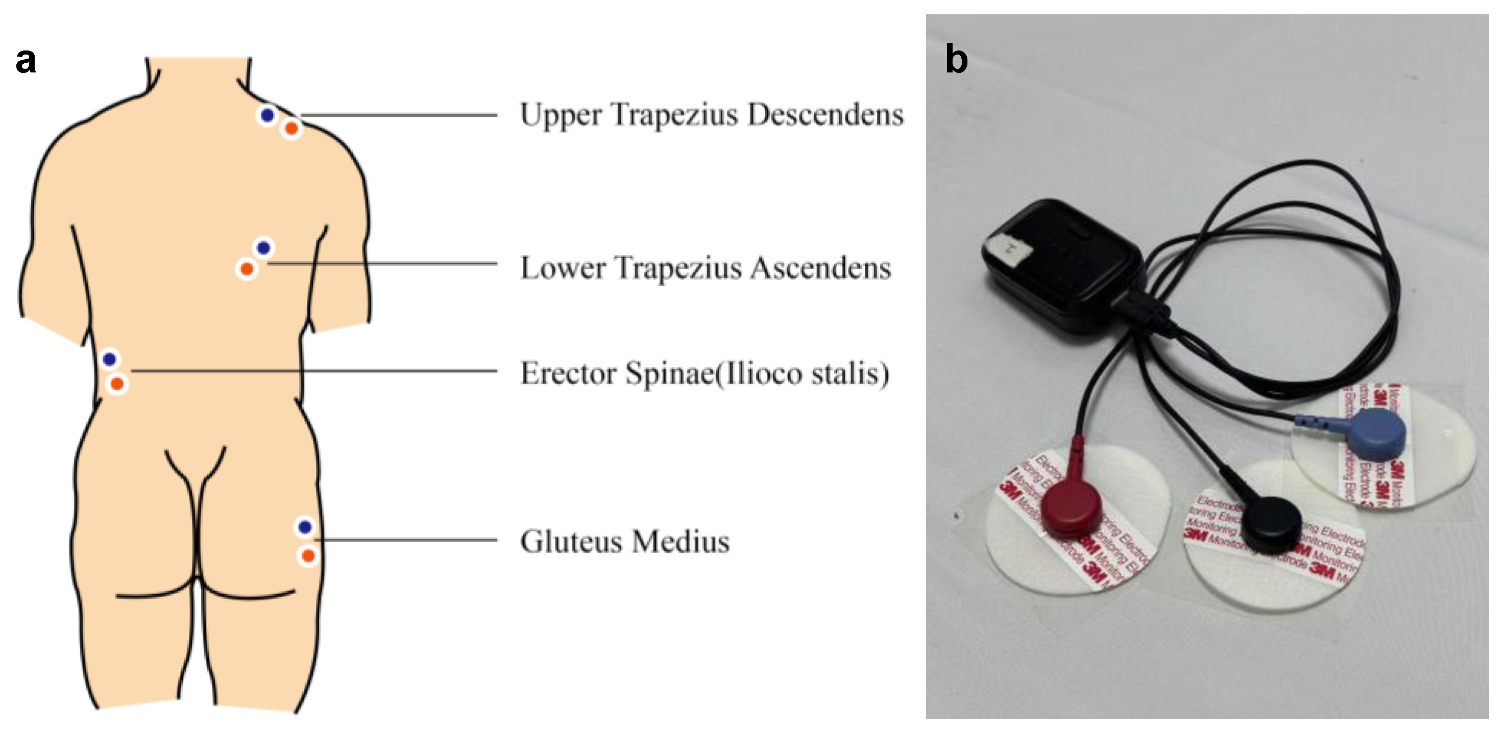 Sensors 25 00014 g001