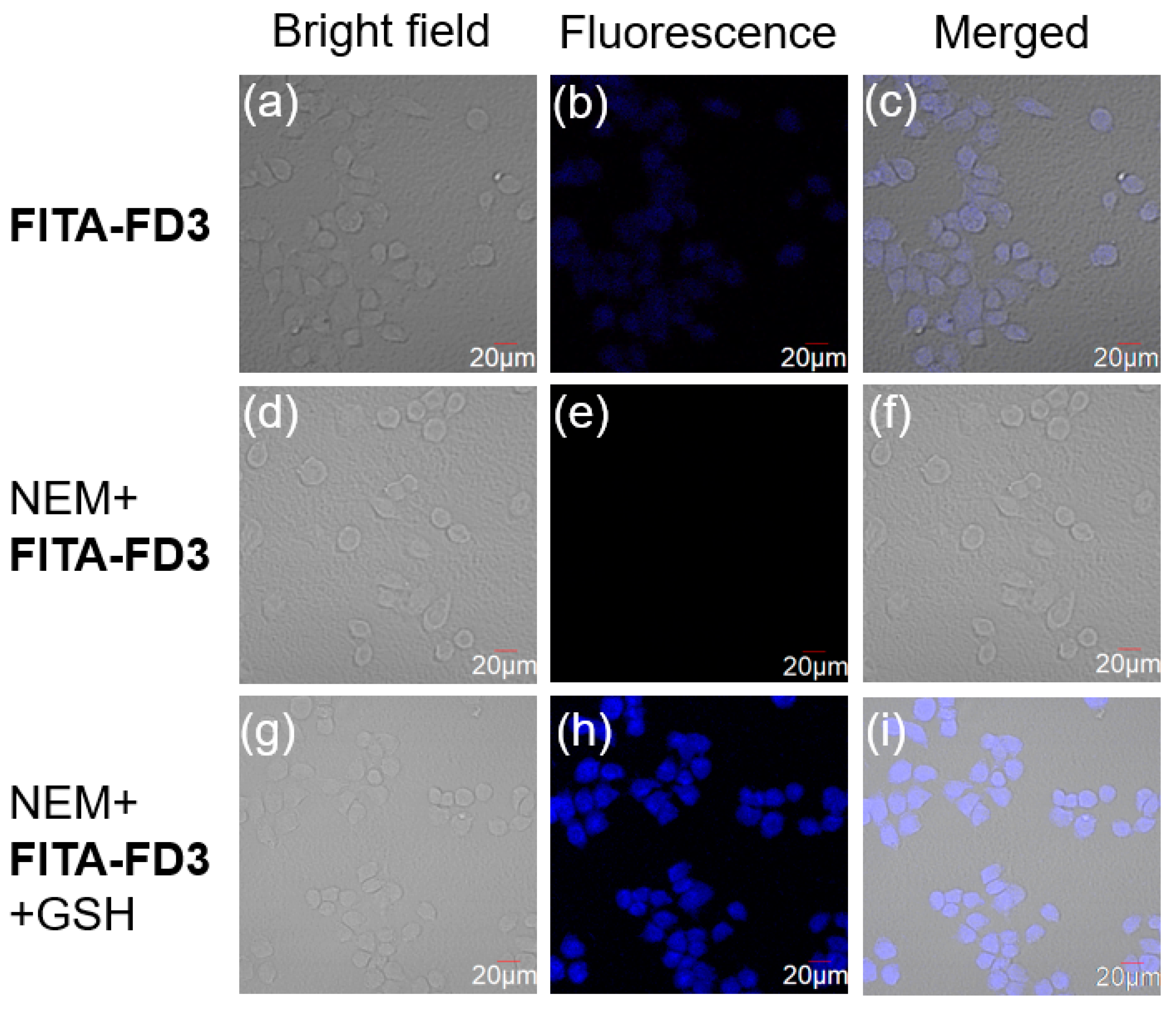 Sensors 25 00034 g005
