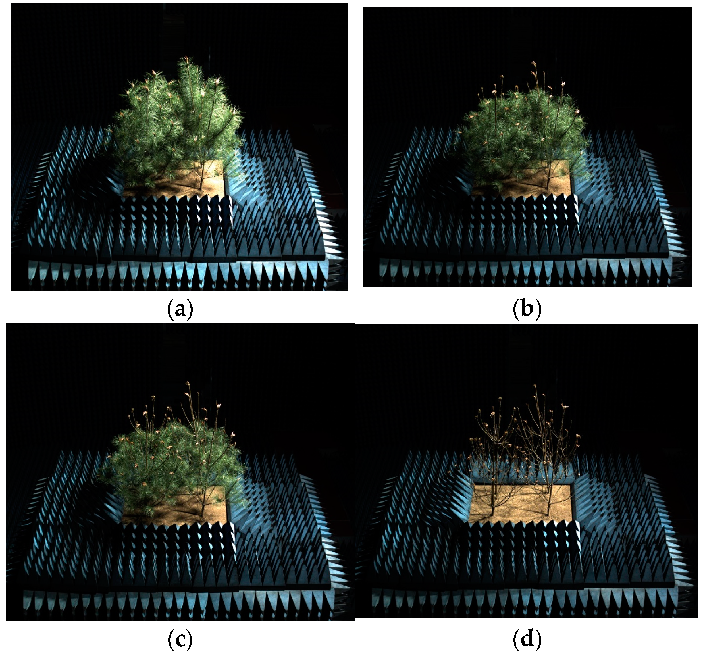 Sensors 25 00046 g002