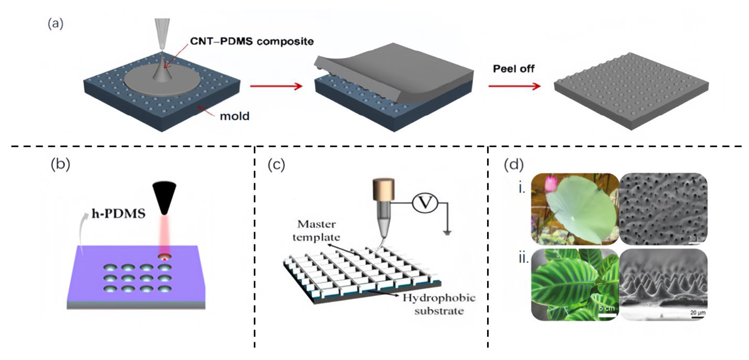 Sensors 25 00076 g006