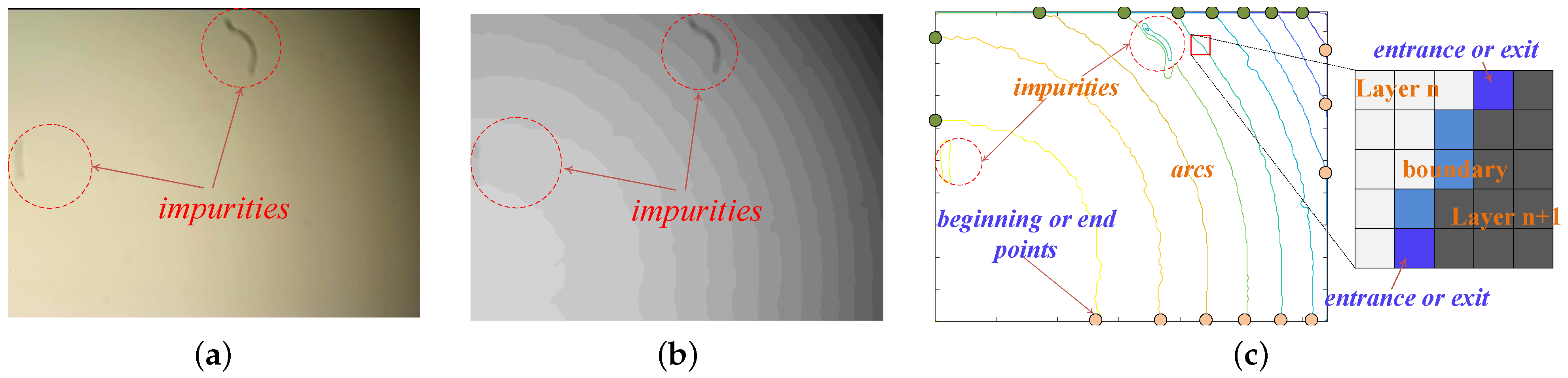 Sensors 25 00102 g005