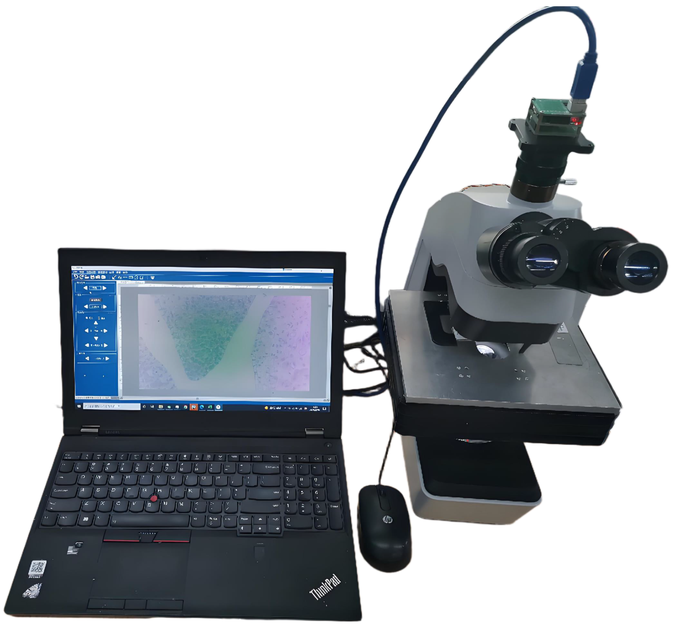 Sensors 25 00102 g008