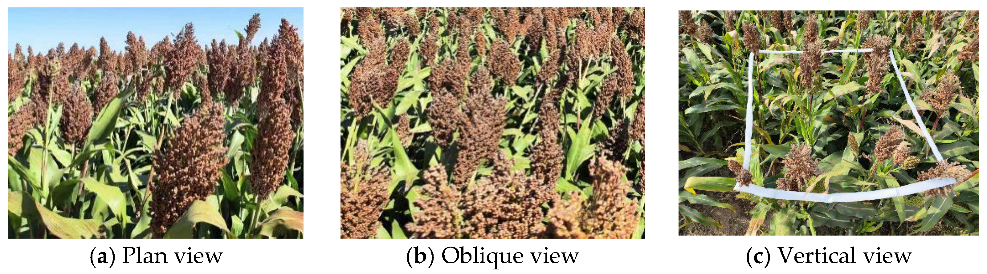 Sensors 25 00104 g001