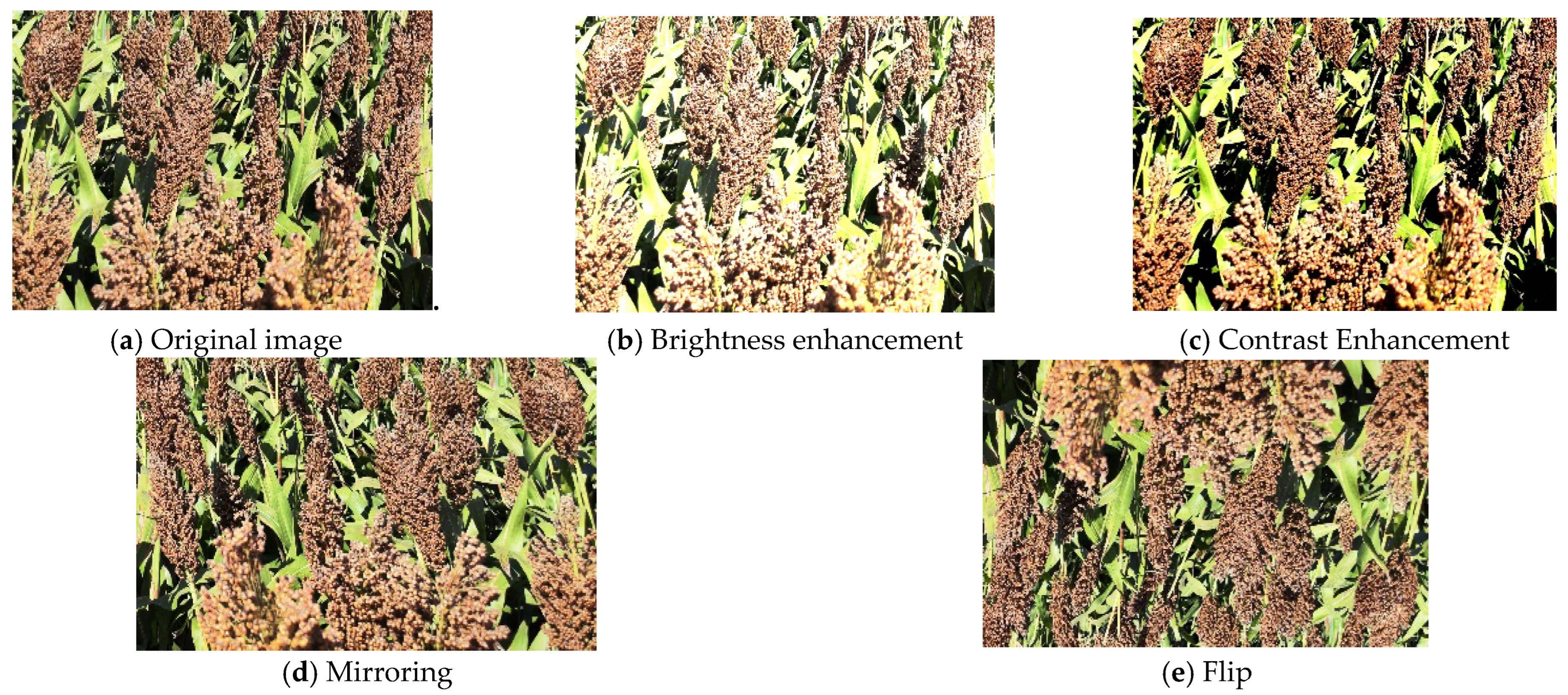 Sensors 25 00104 g002