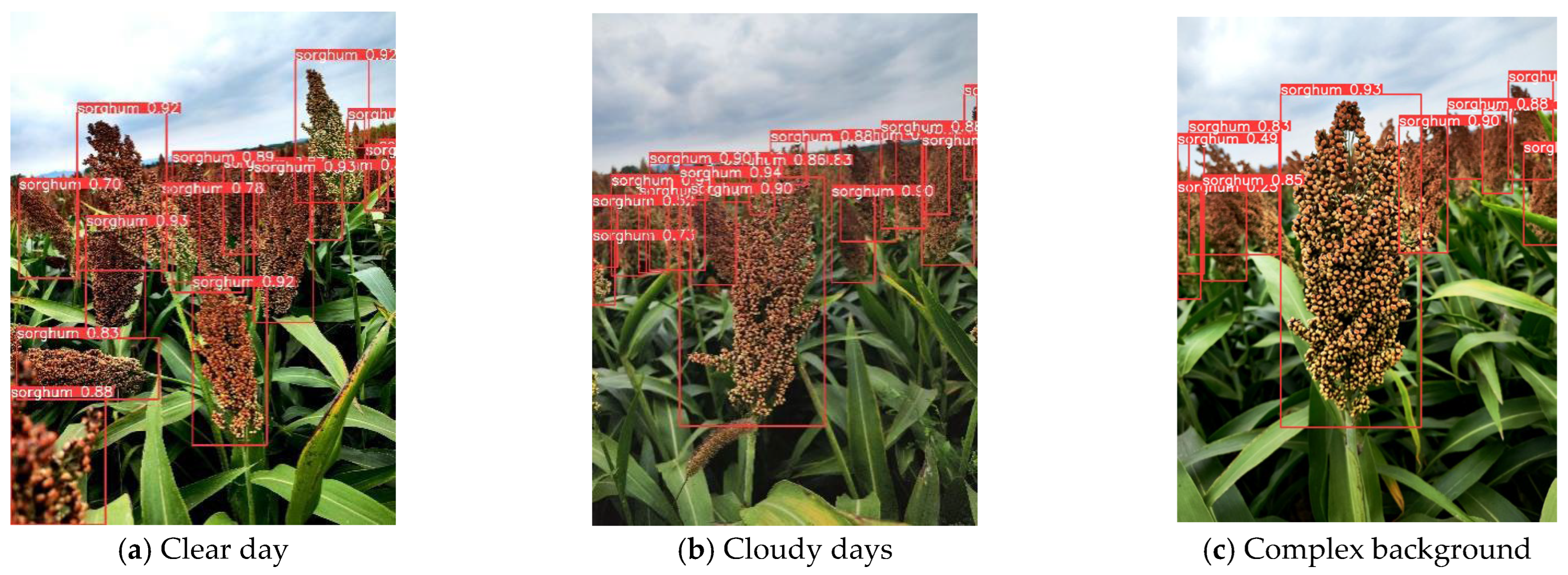 Sensors 25 00104 g011a