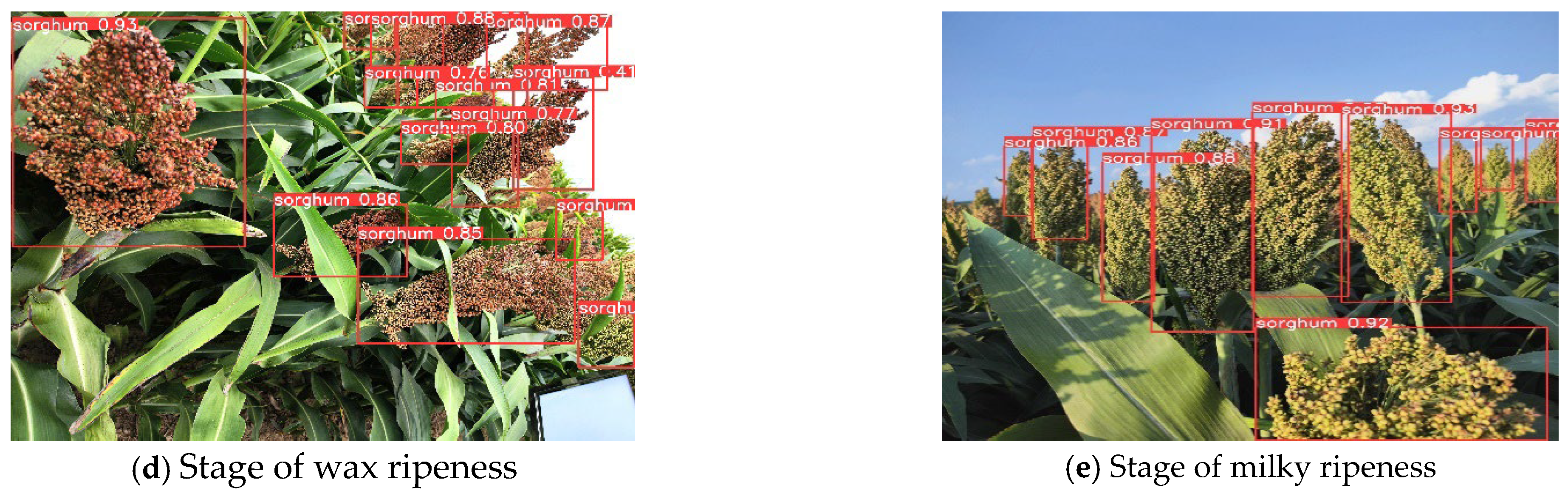 Sensors 25 00104 g011b