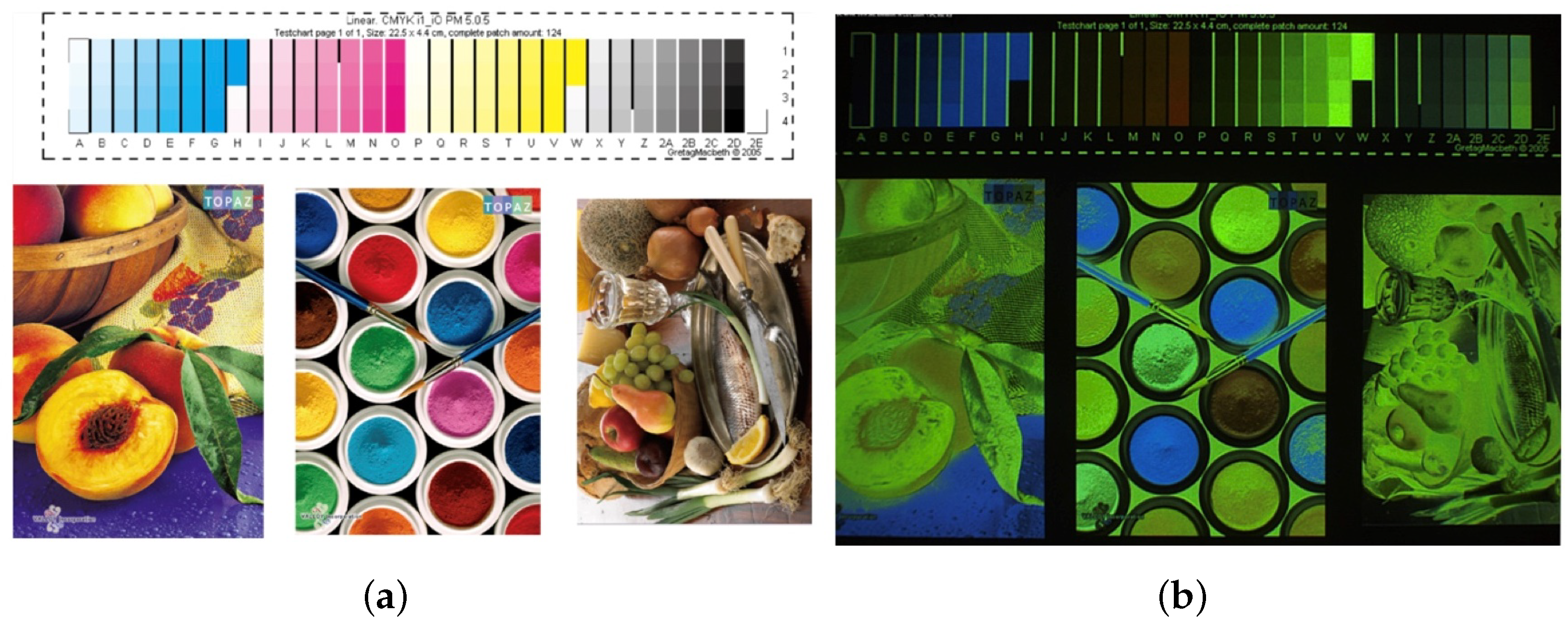 Sensors 25 00128 g001