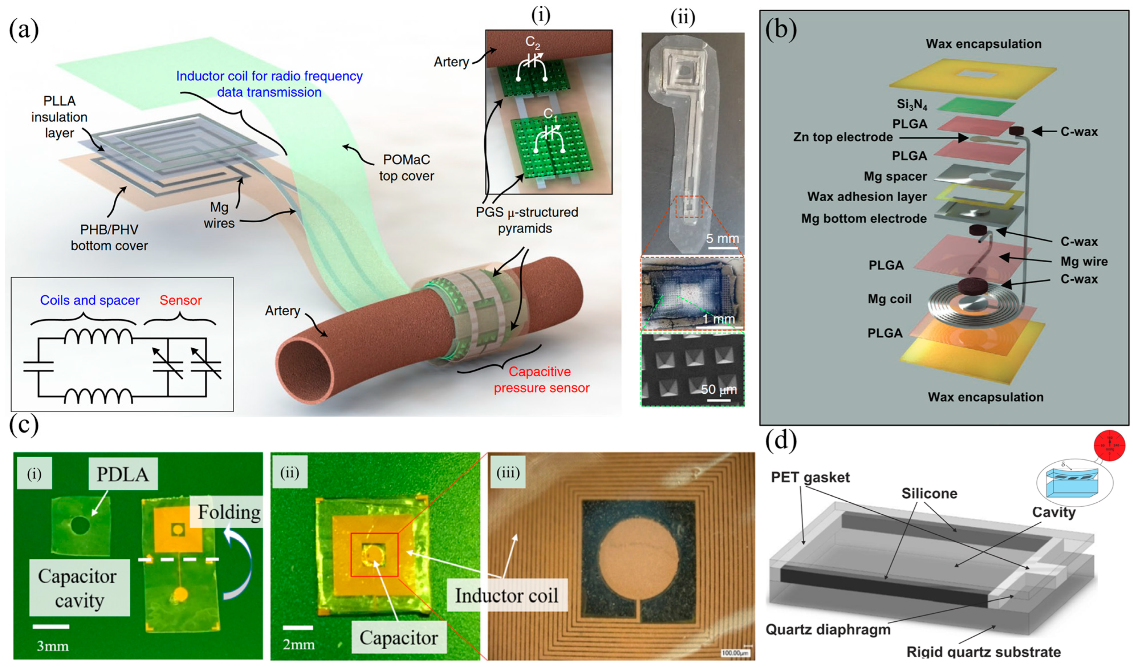 Sensors 25 00133 g003